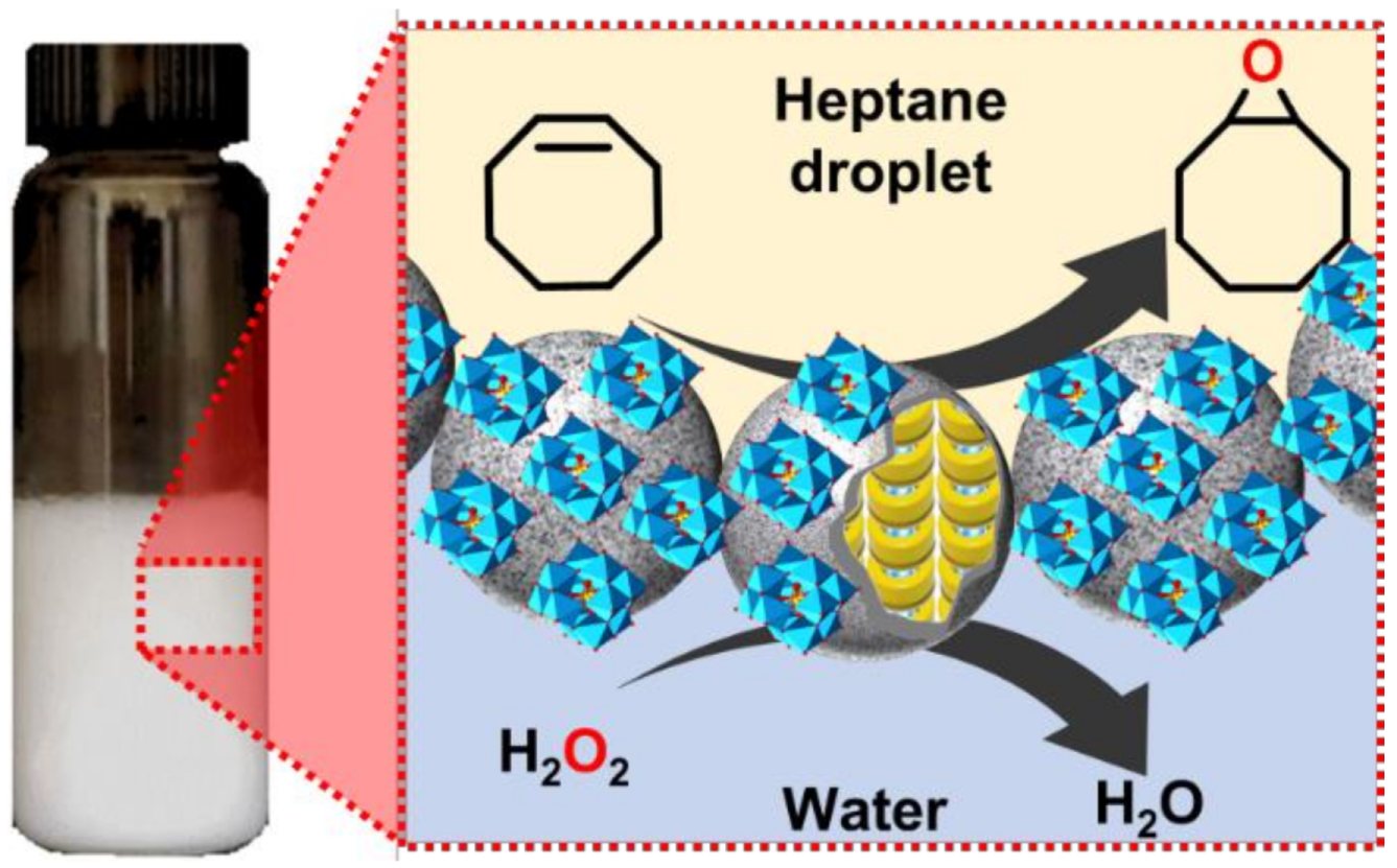Catalysts 09 00163 g061
