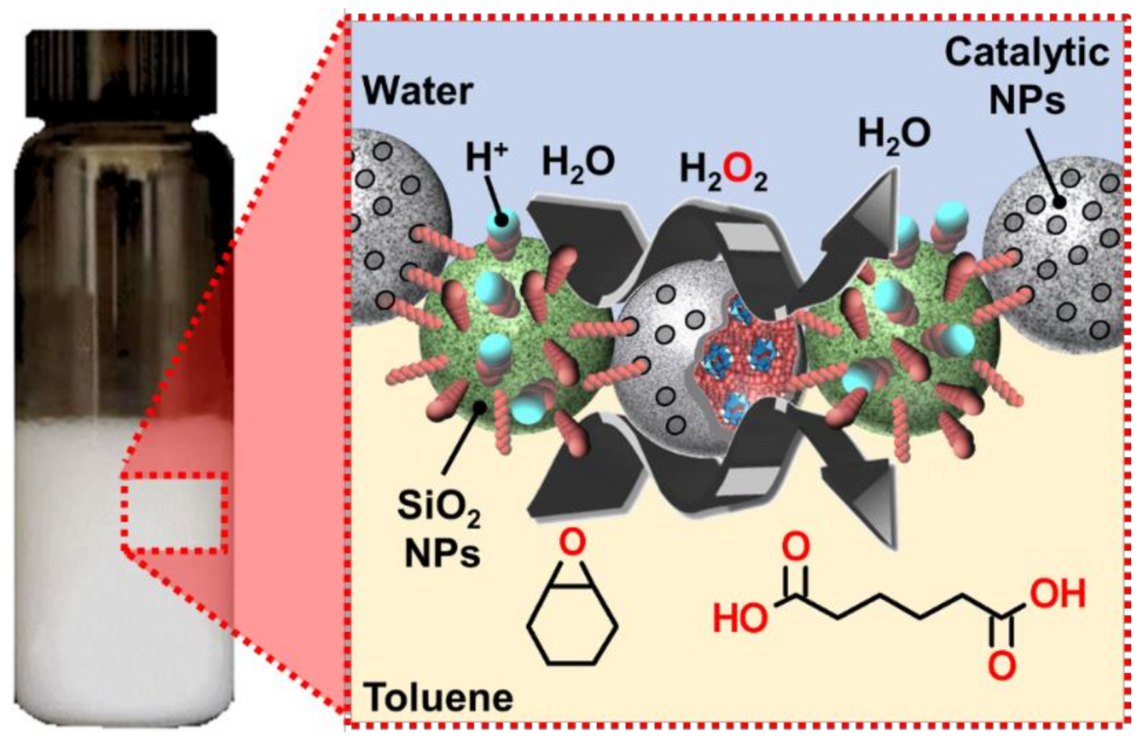 Catalysts 09 00163 g063