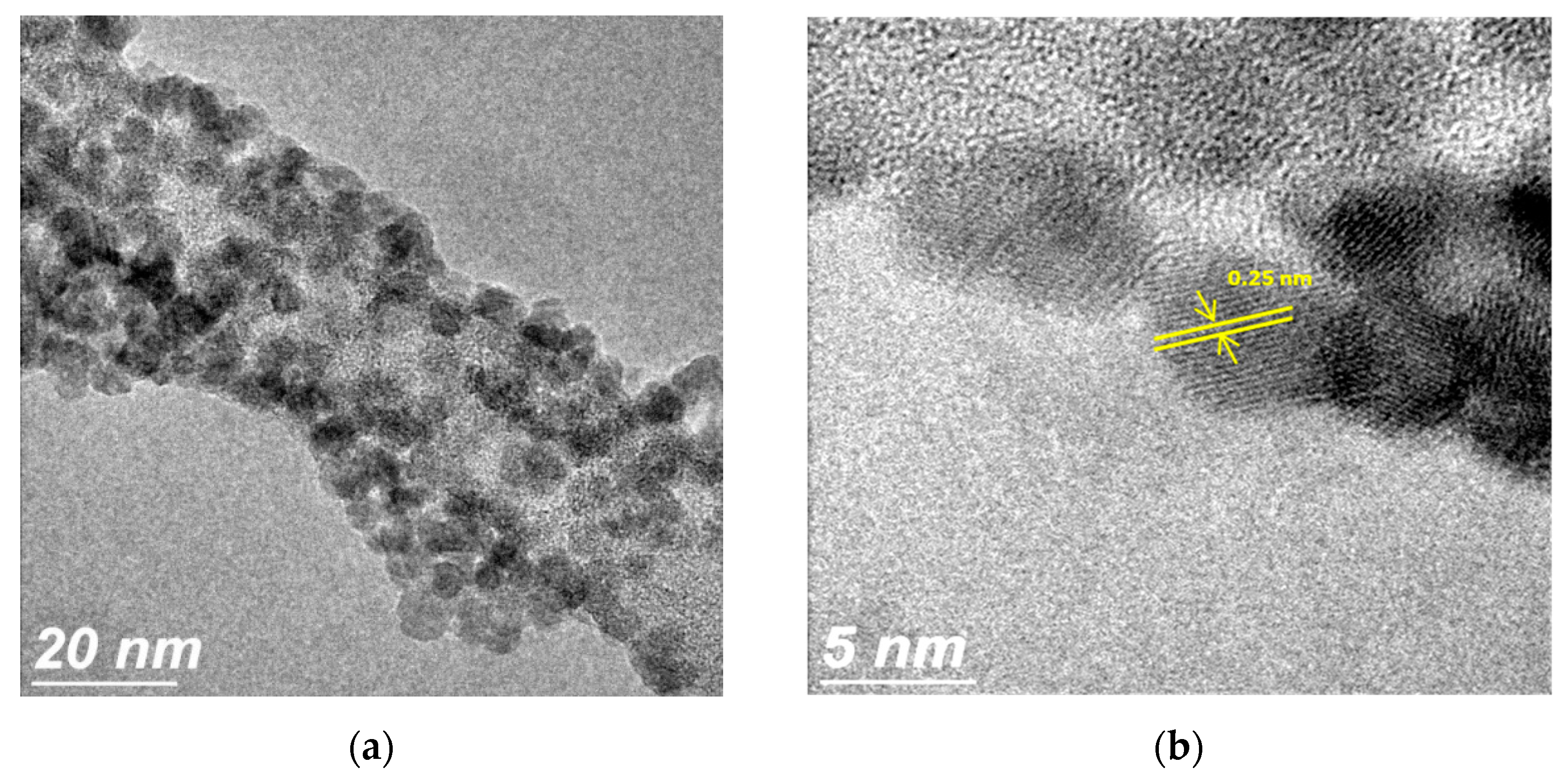 Catalysts 09 00165 g001
