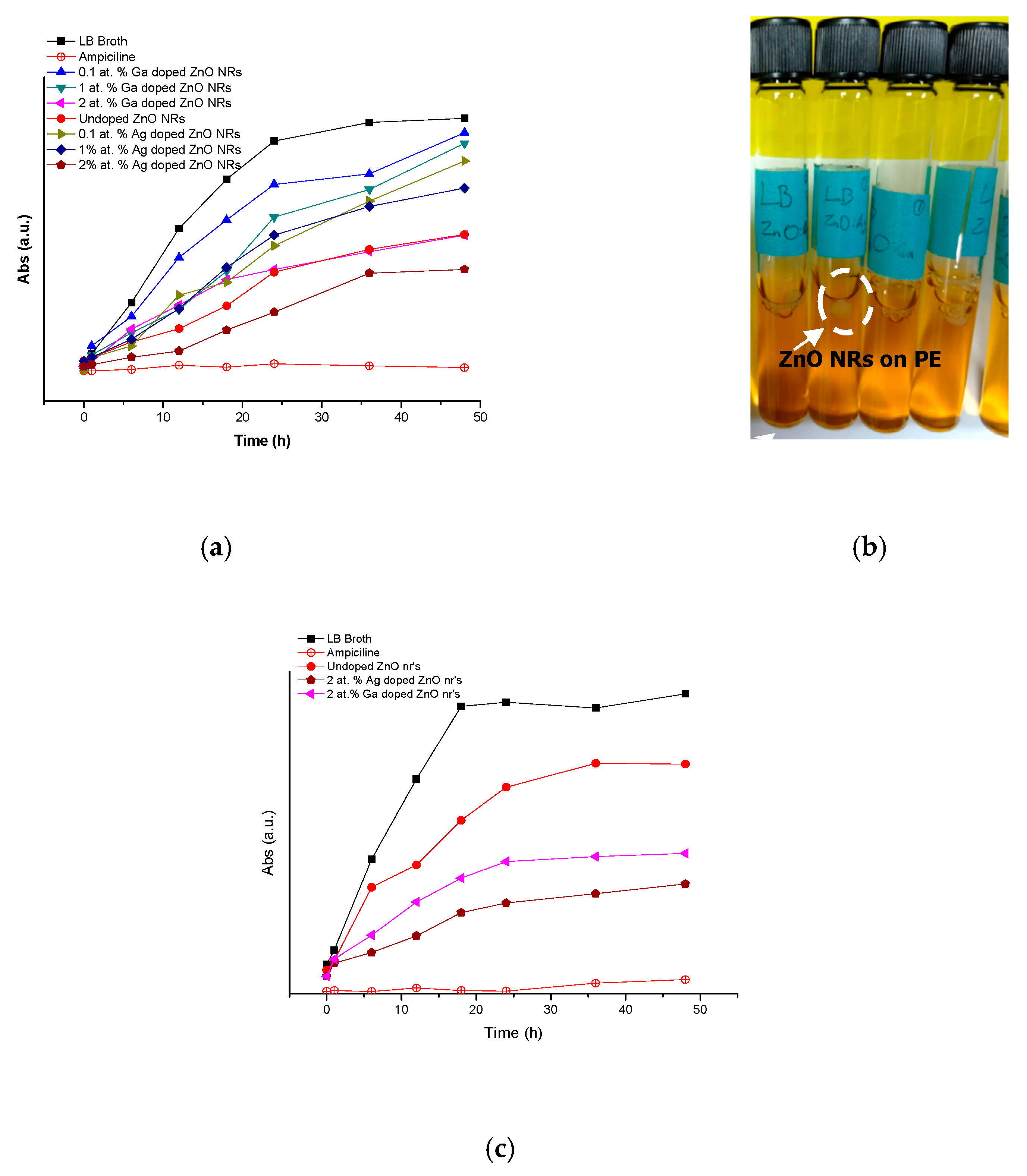 Catalysts 09 00165 g006