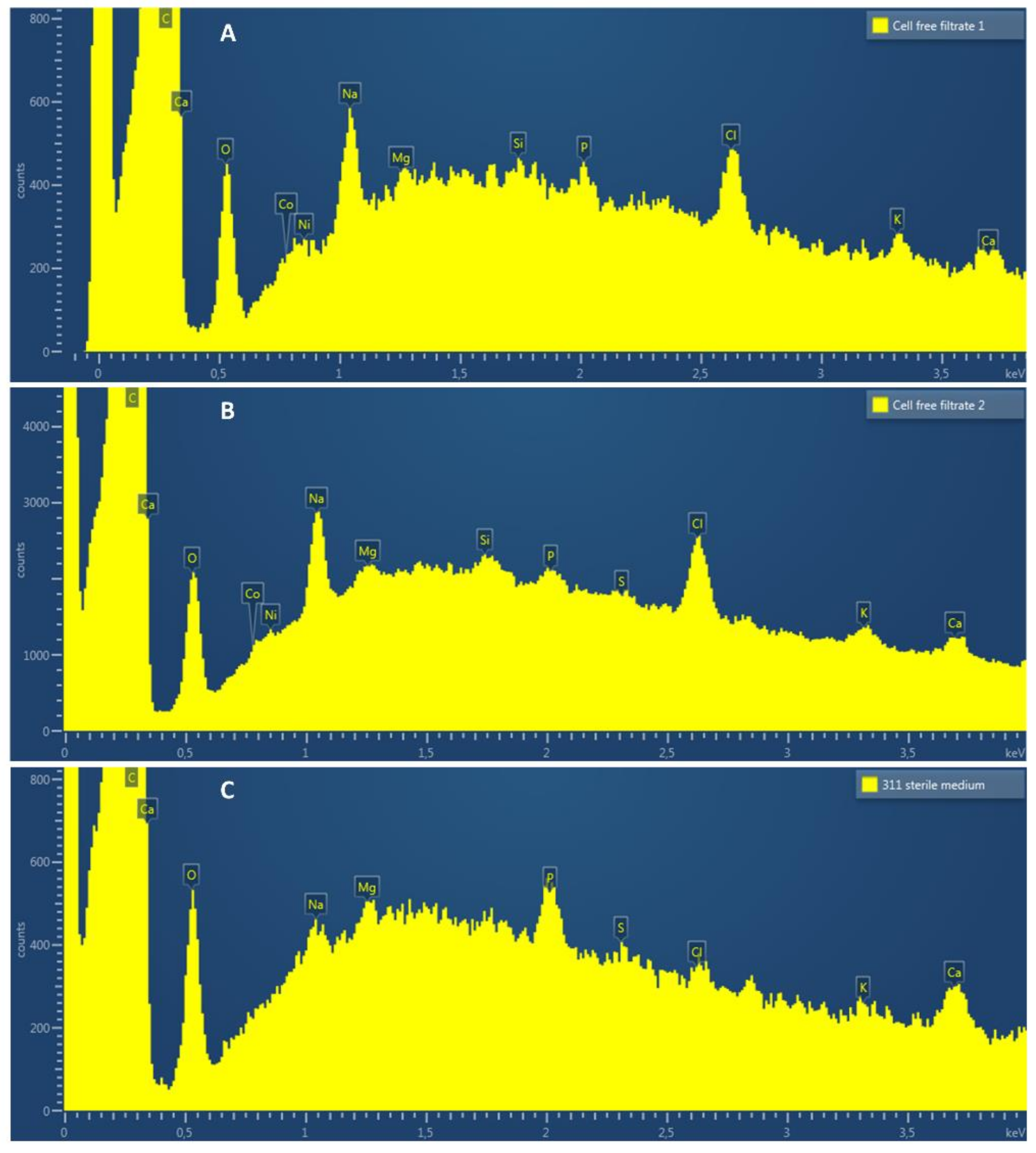 Catalysts 09 00166 g005