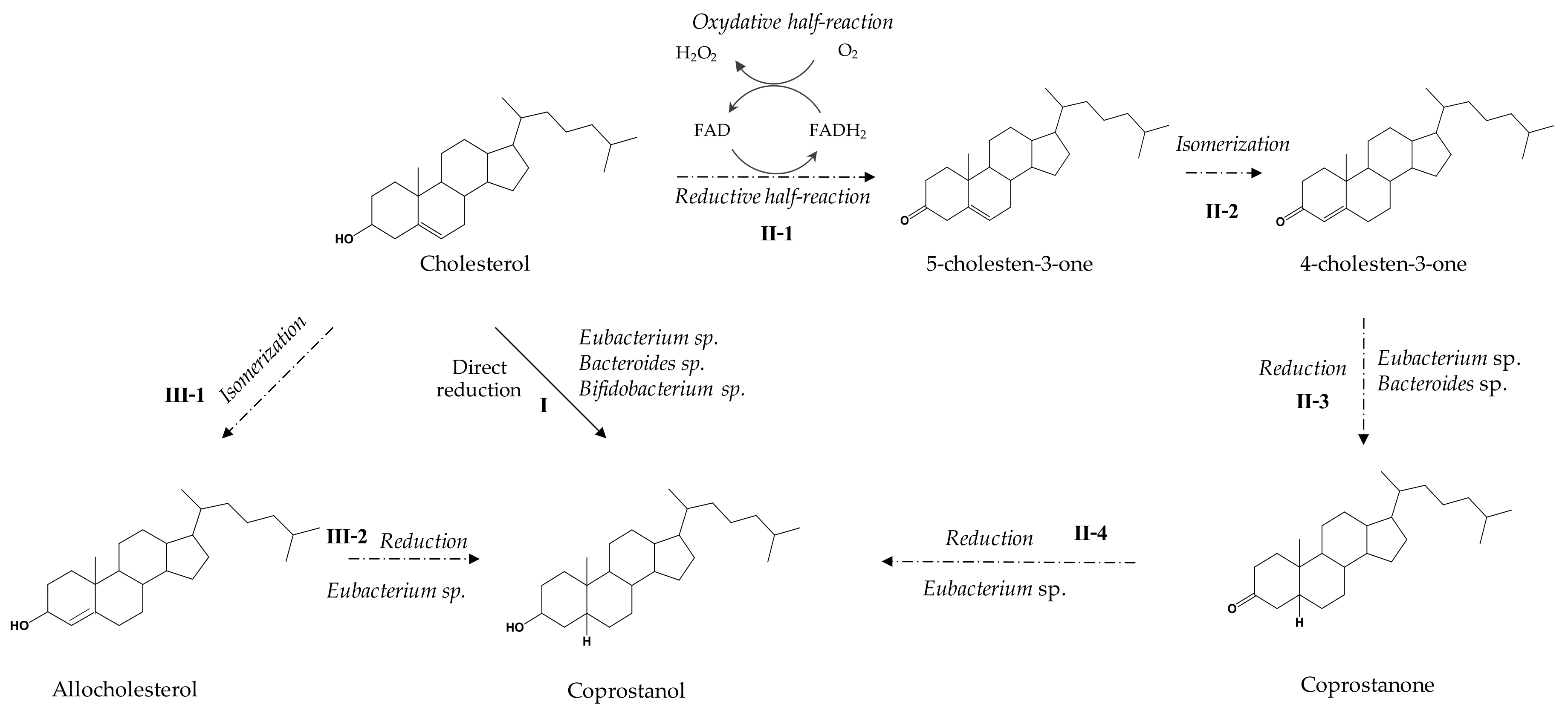 Catalysts 09 00167 g002