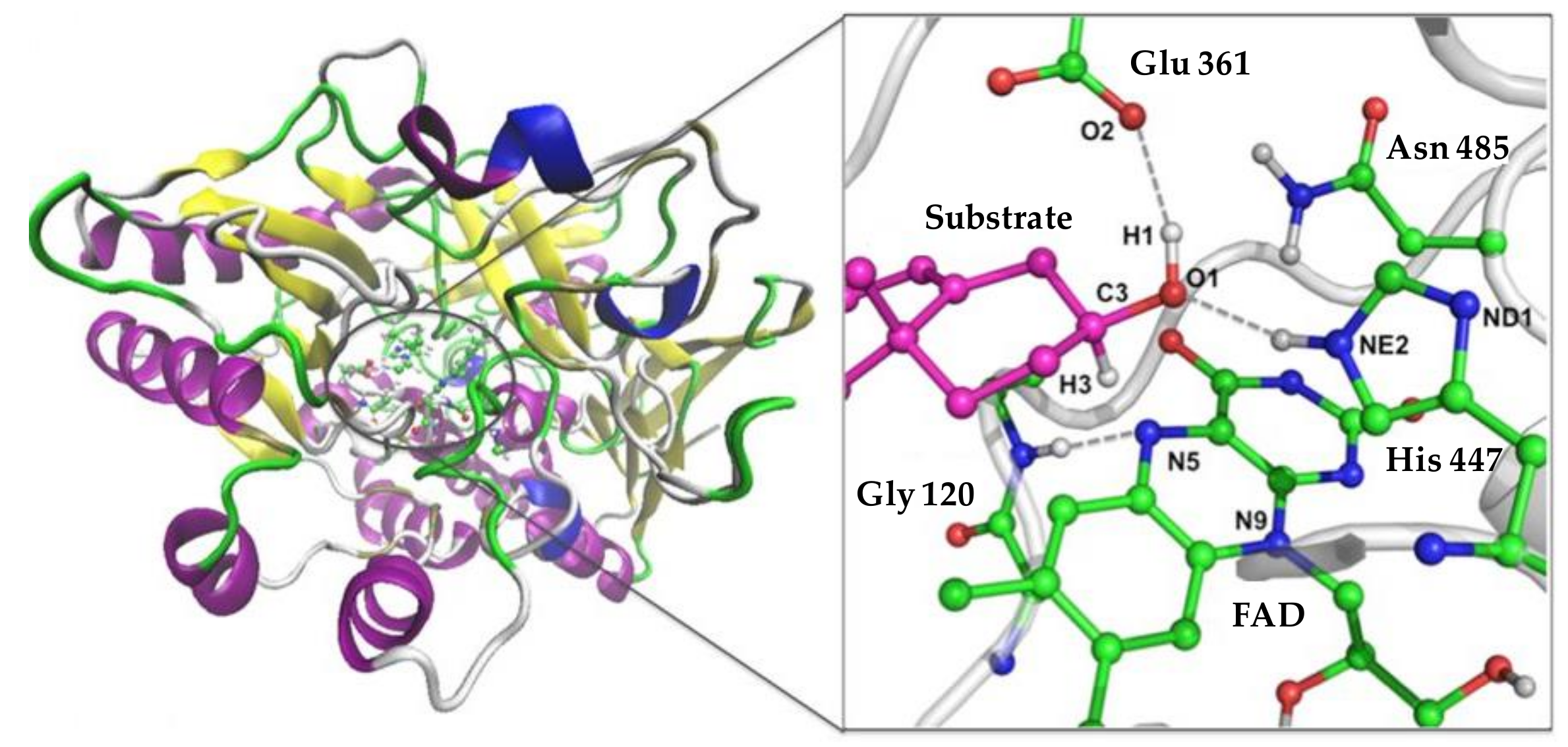 Catalysts 09 00167 g003