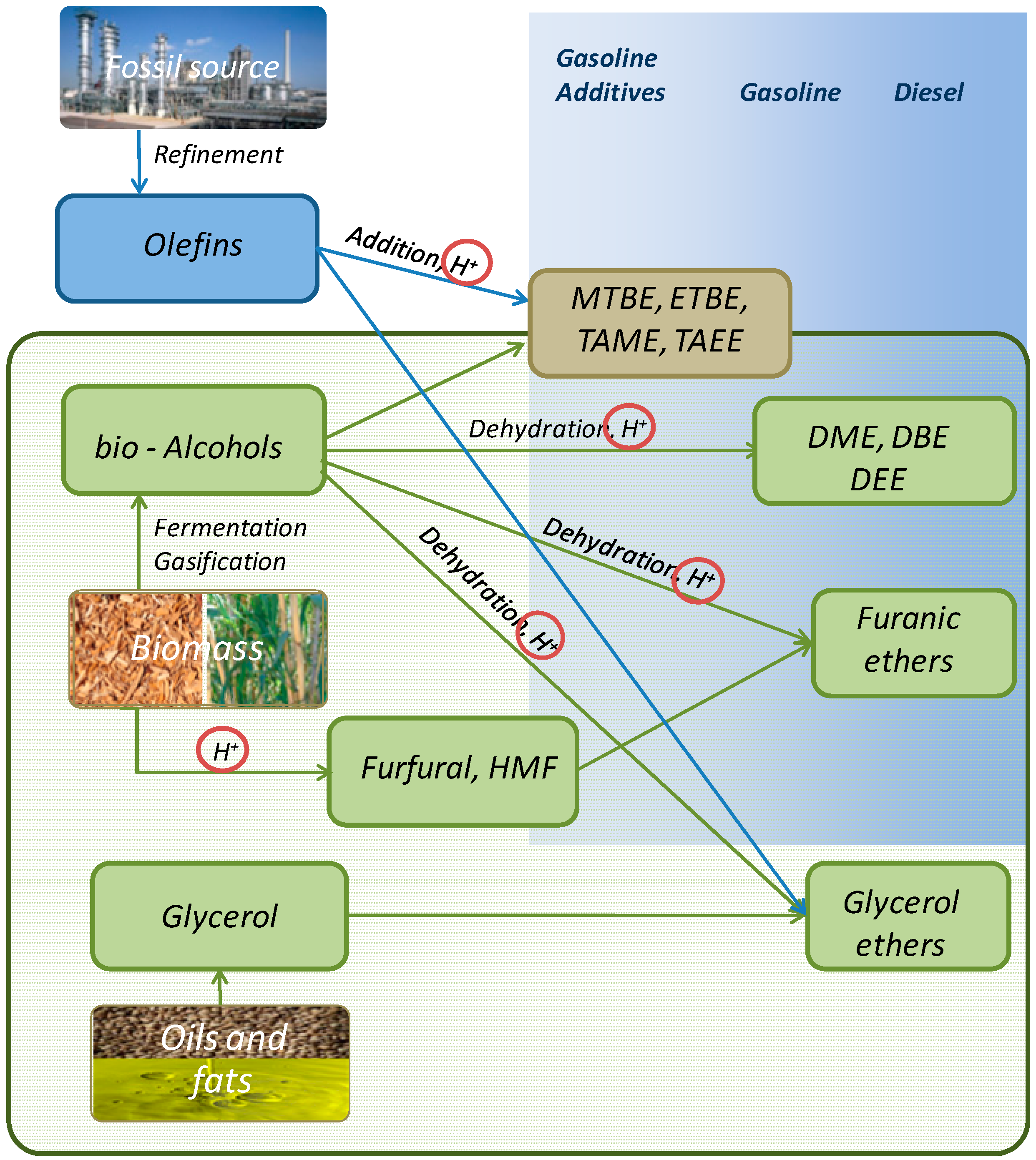 Catalysts 09 00172 g001