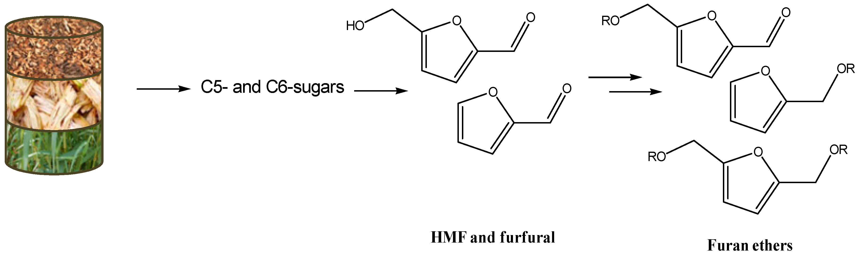 Catalysts 09 00172 sch004
