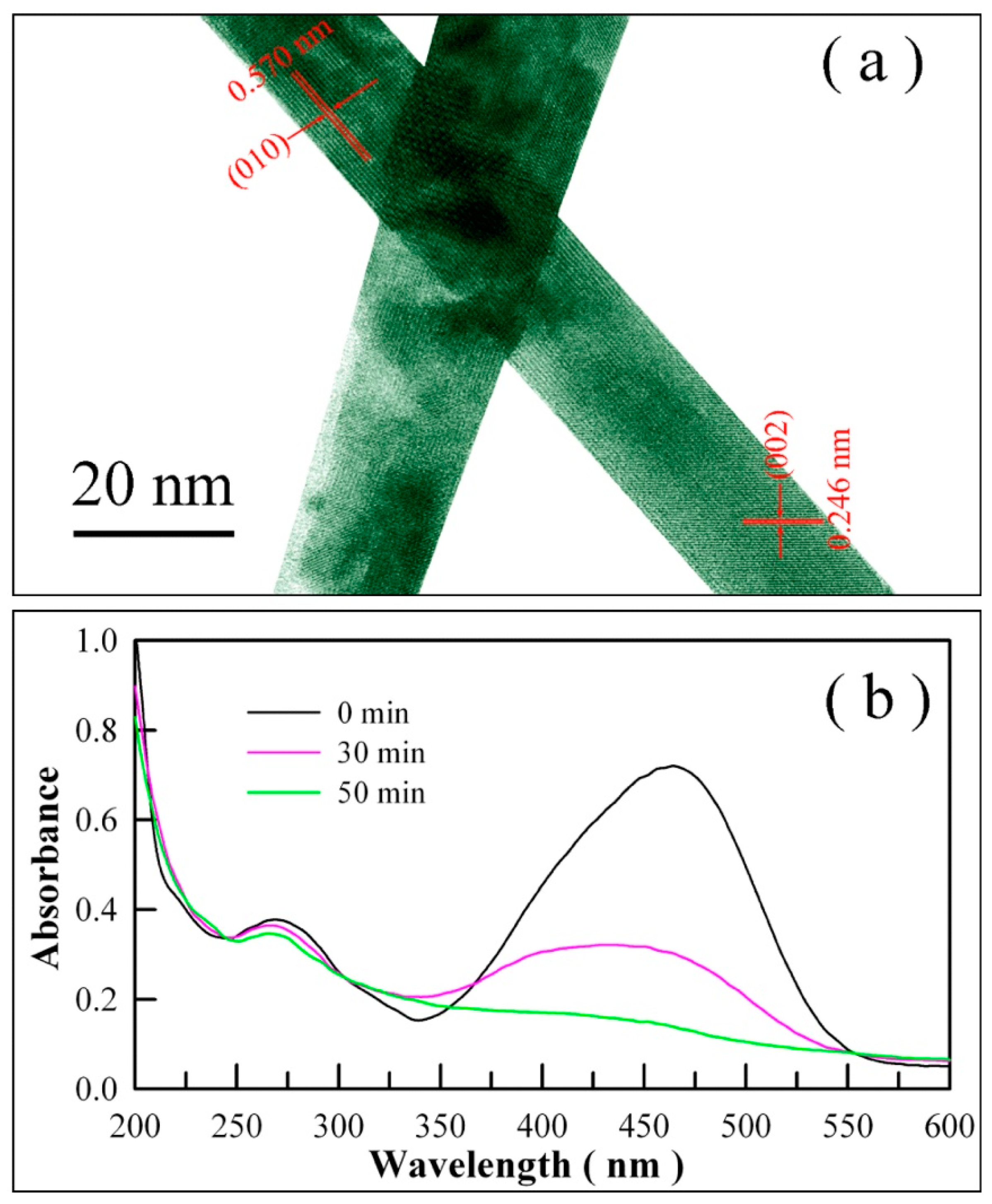 Catalysts 09 00178 g016