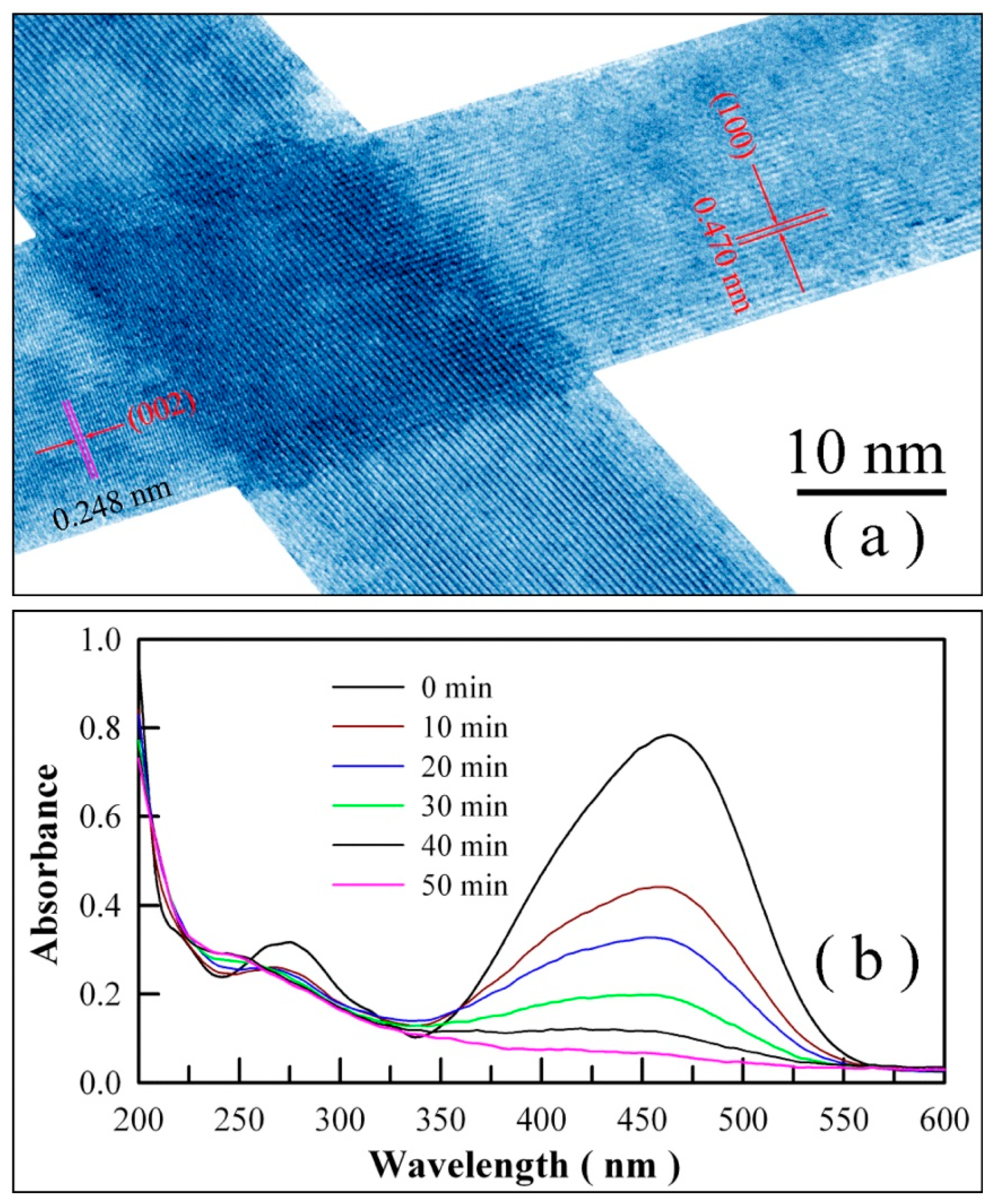 Catalysts 09 00178 g017