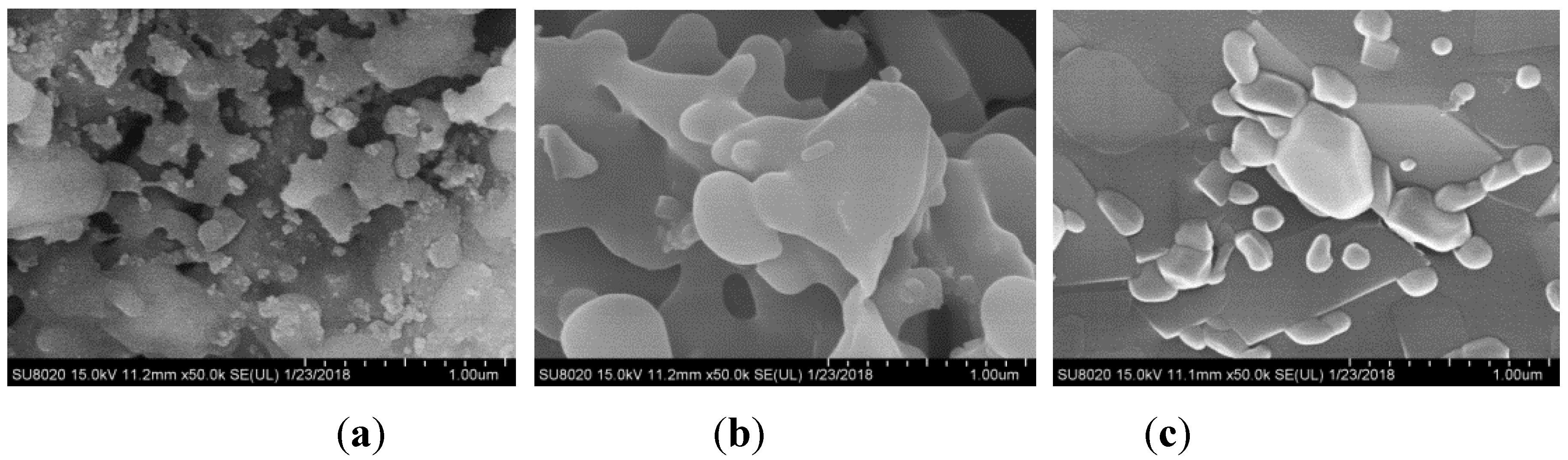 Catalysts 09 00182 g002