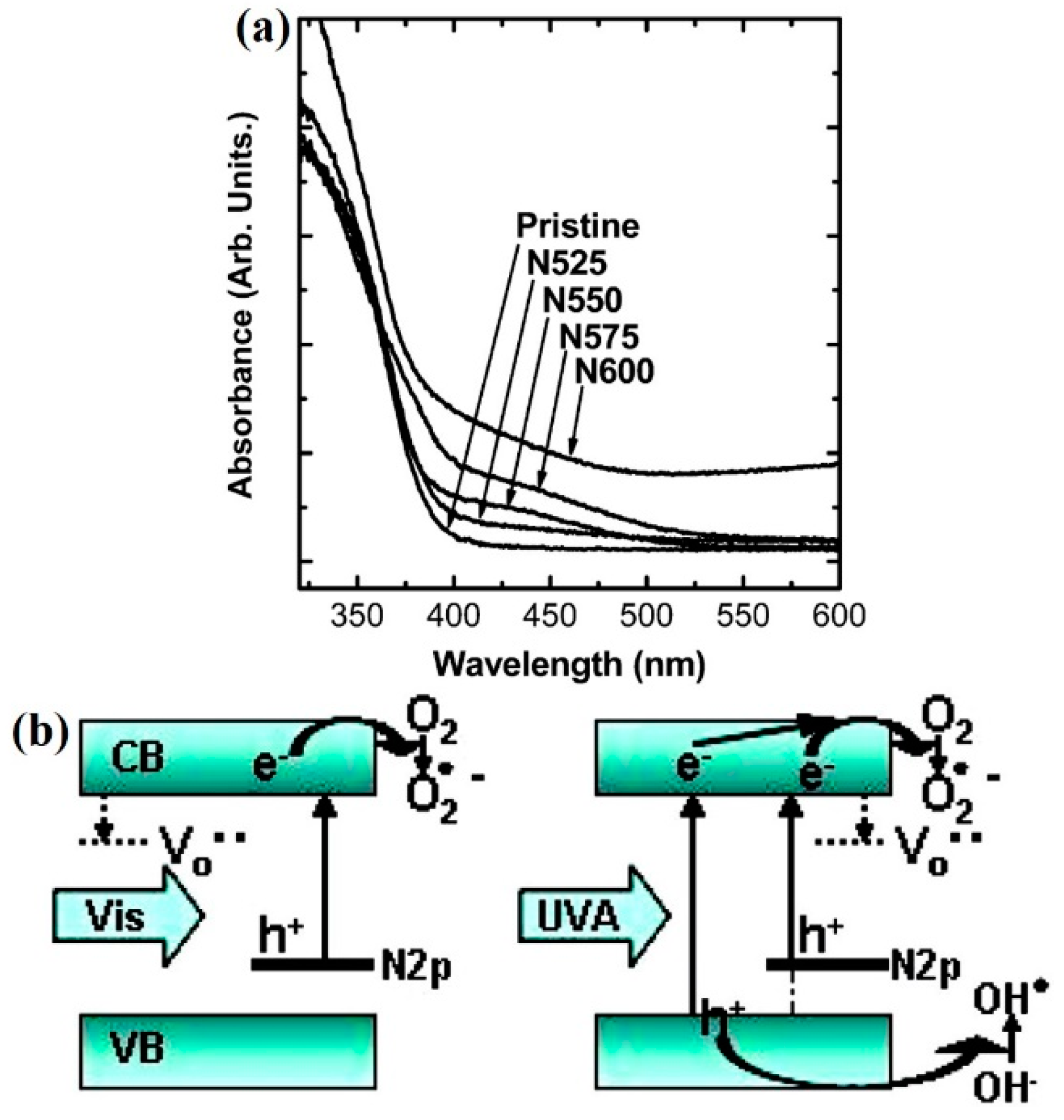 Catalysts 09 00191 g007