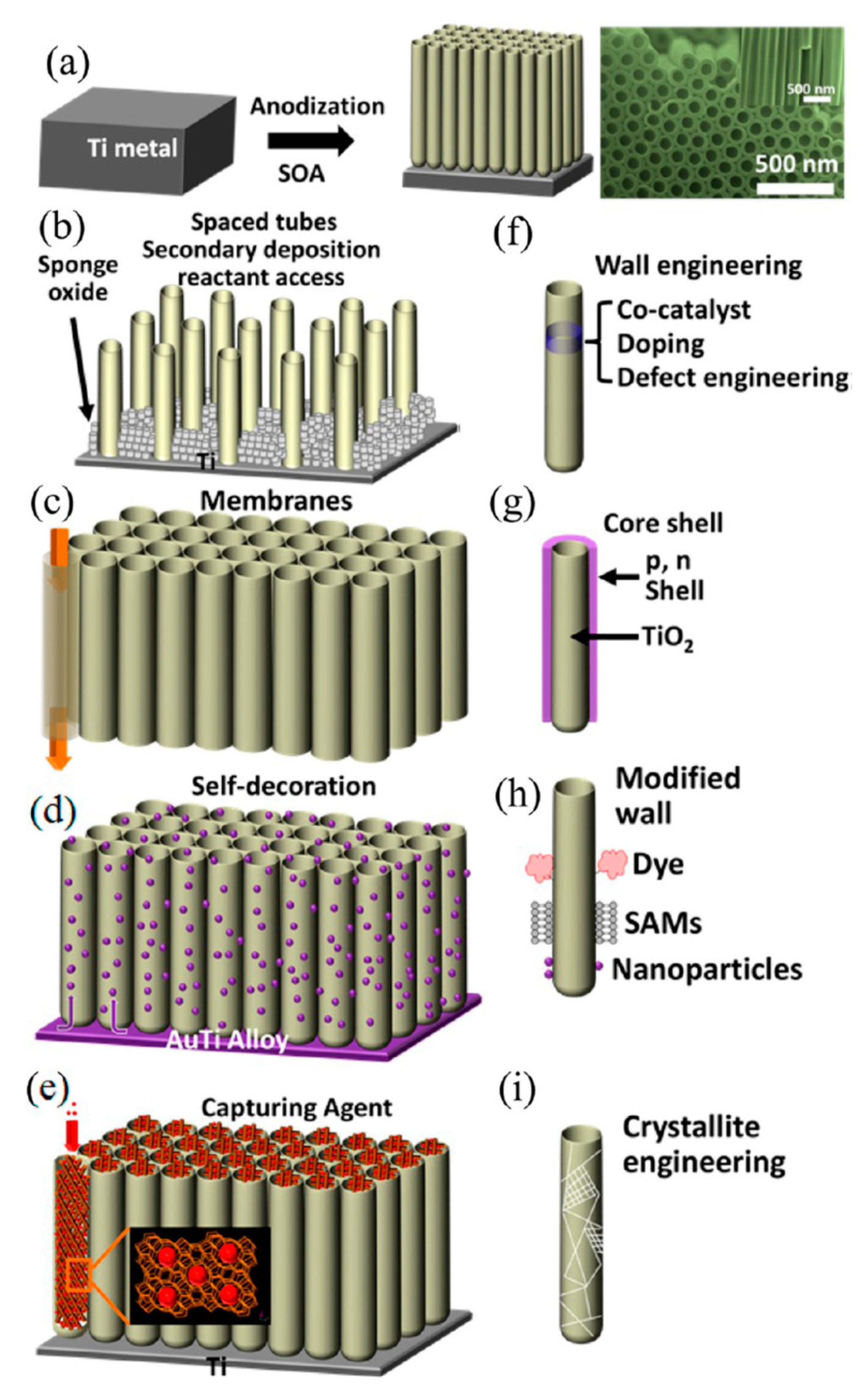 Catalysts 09 00191 g013