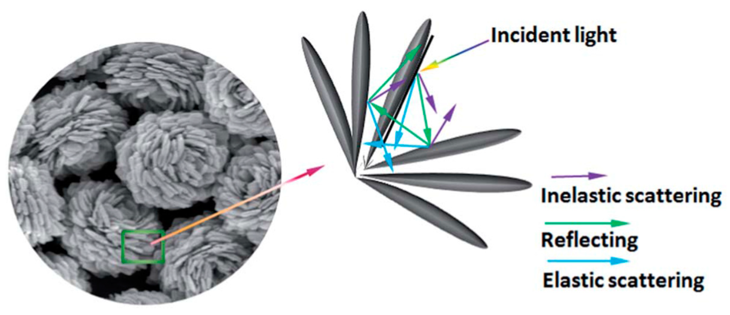 Catalysts 09 00191 g015