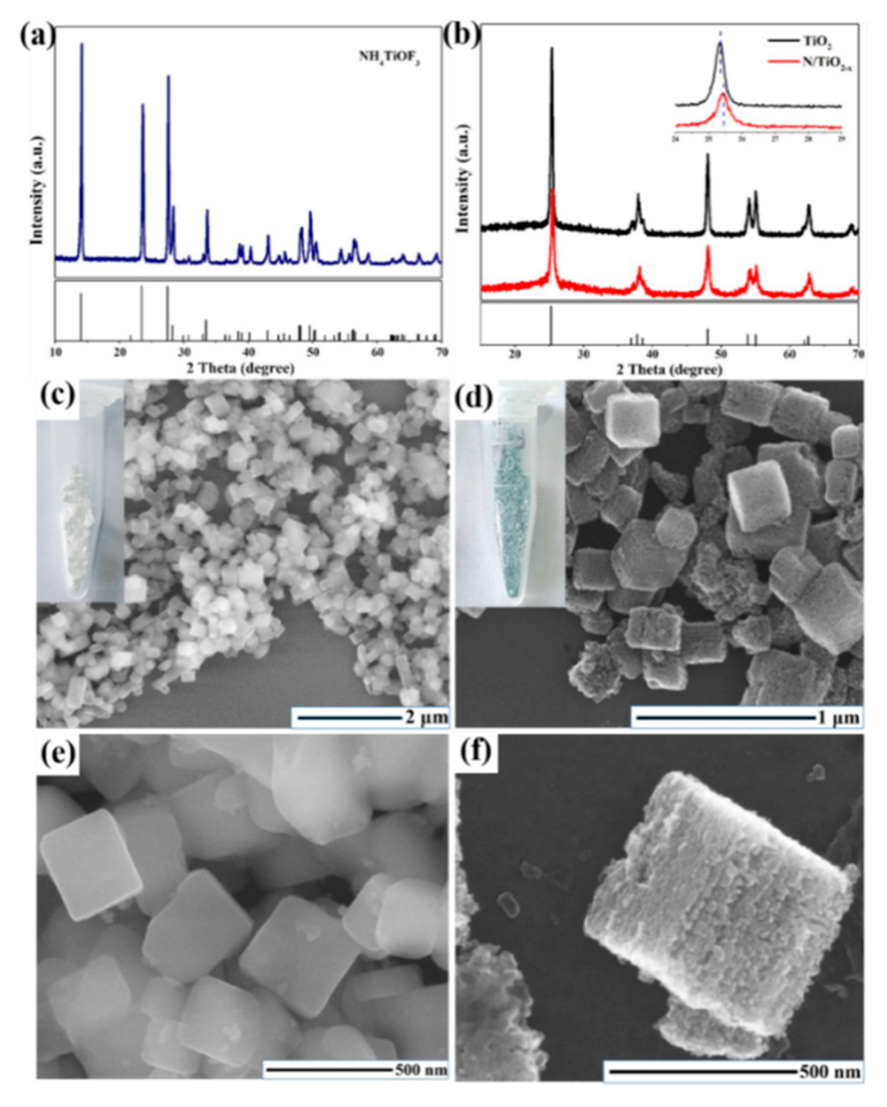 Catalysts 09 00191 g019