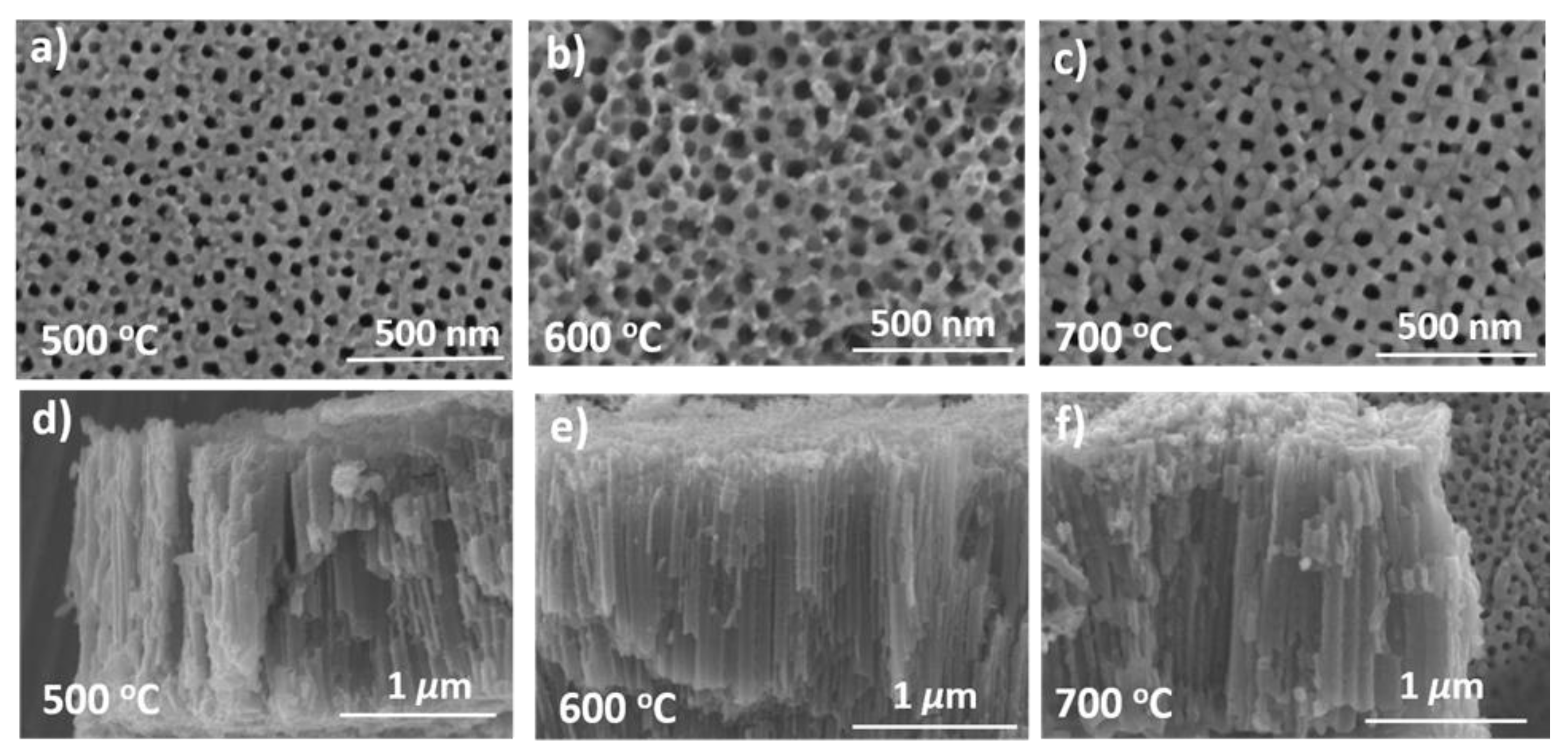 Catalysts 09 00204 g001