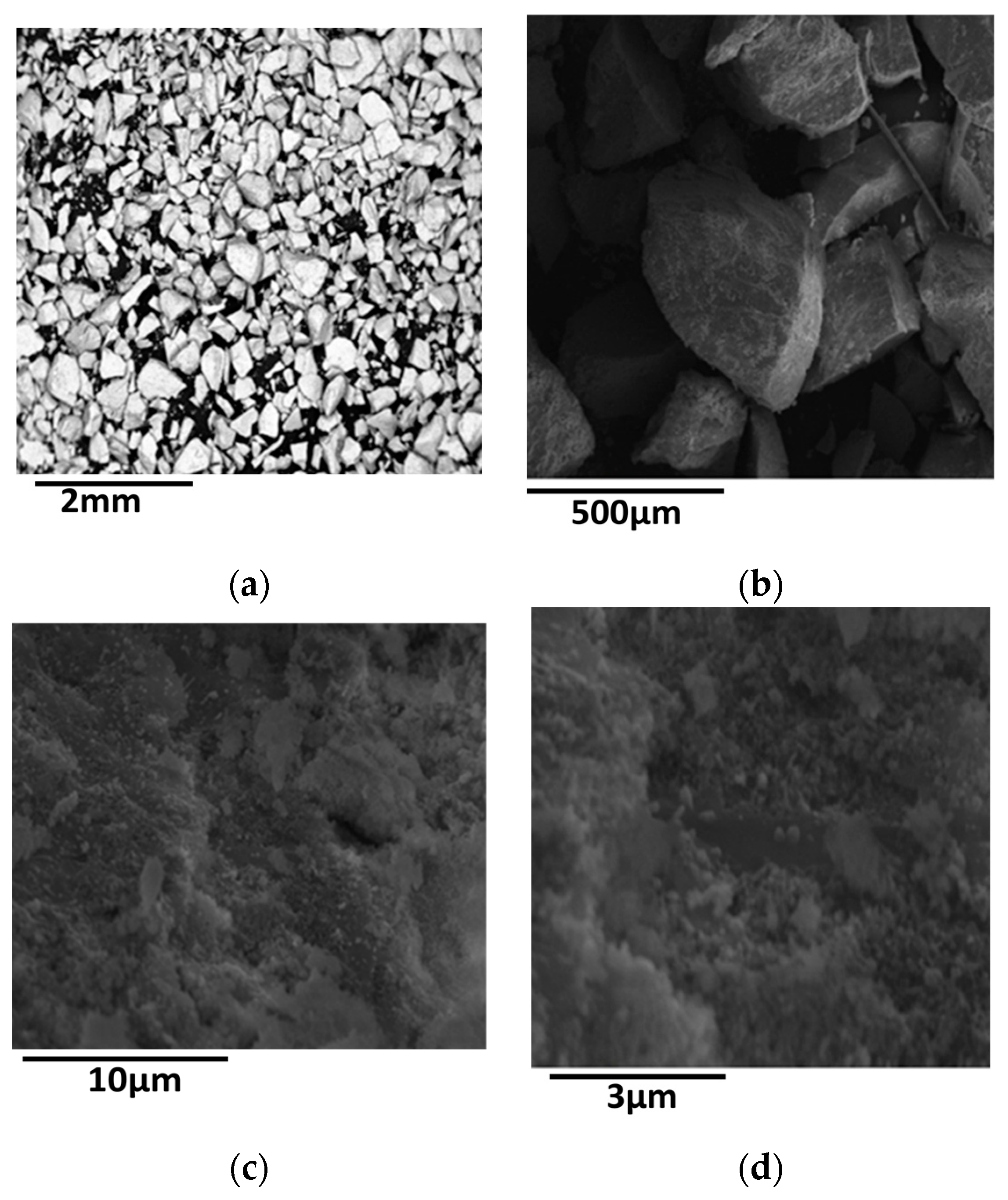 Catalysts 09 00210 g001