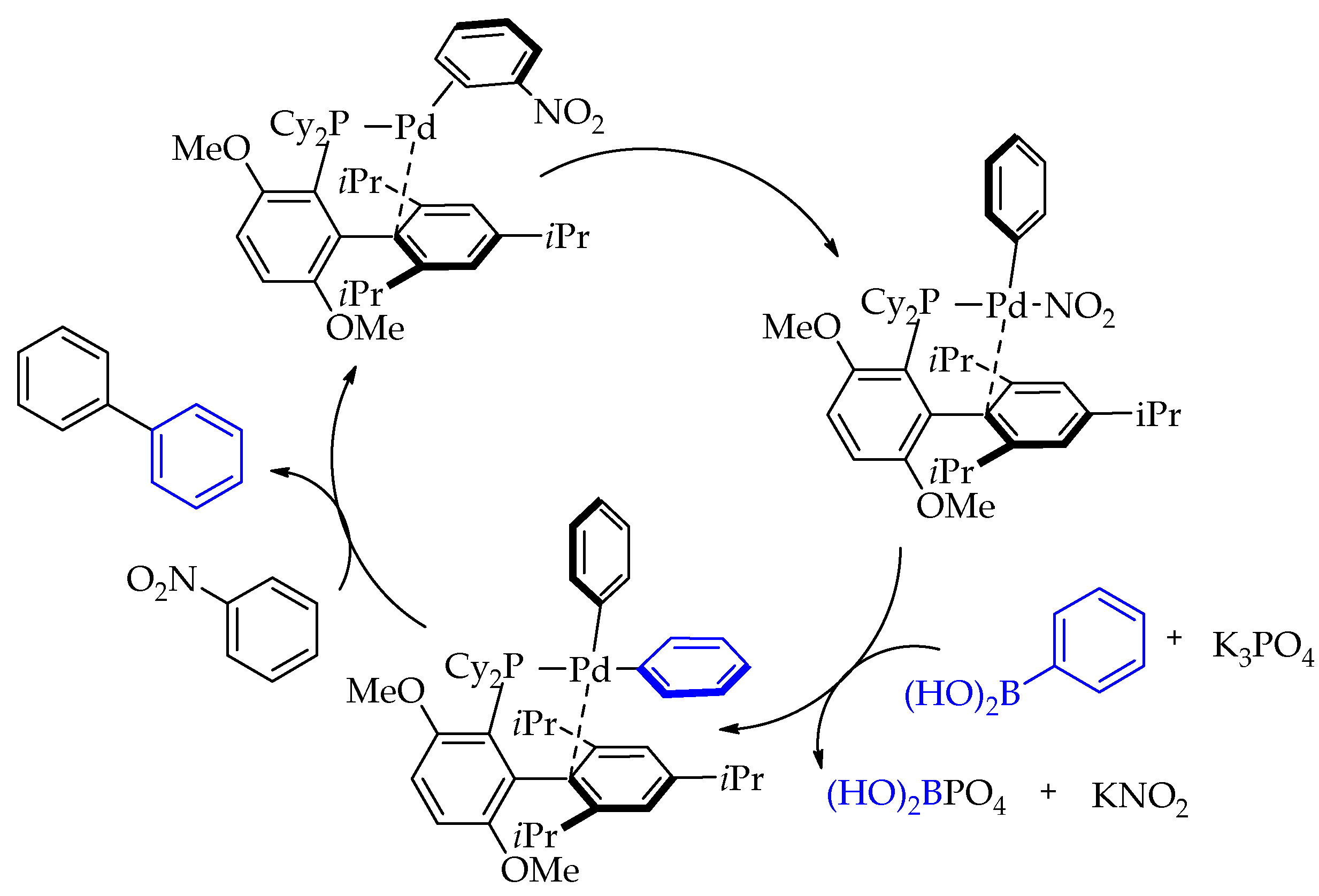 Catalysts 09 00213 g002