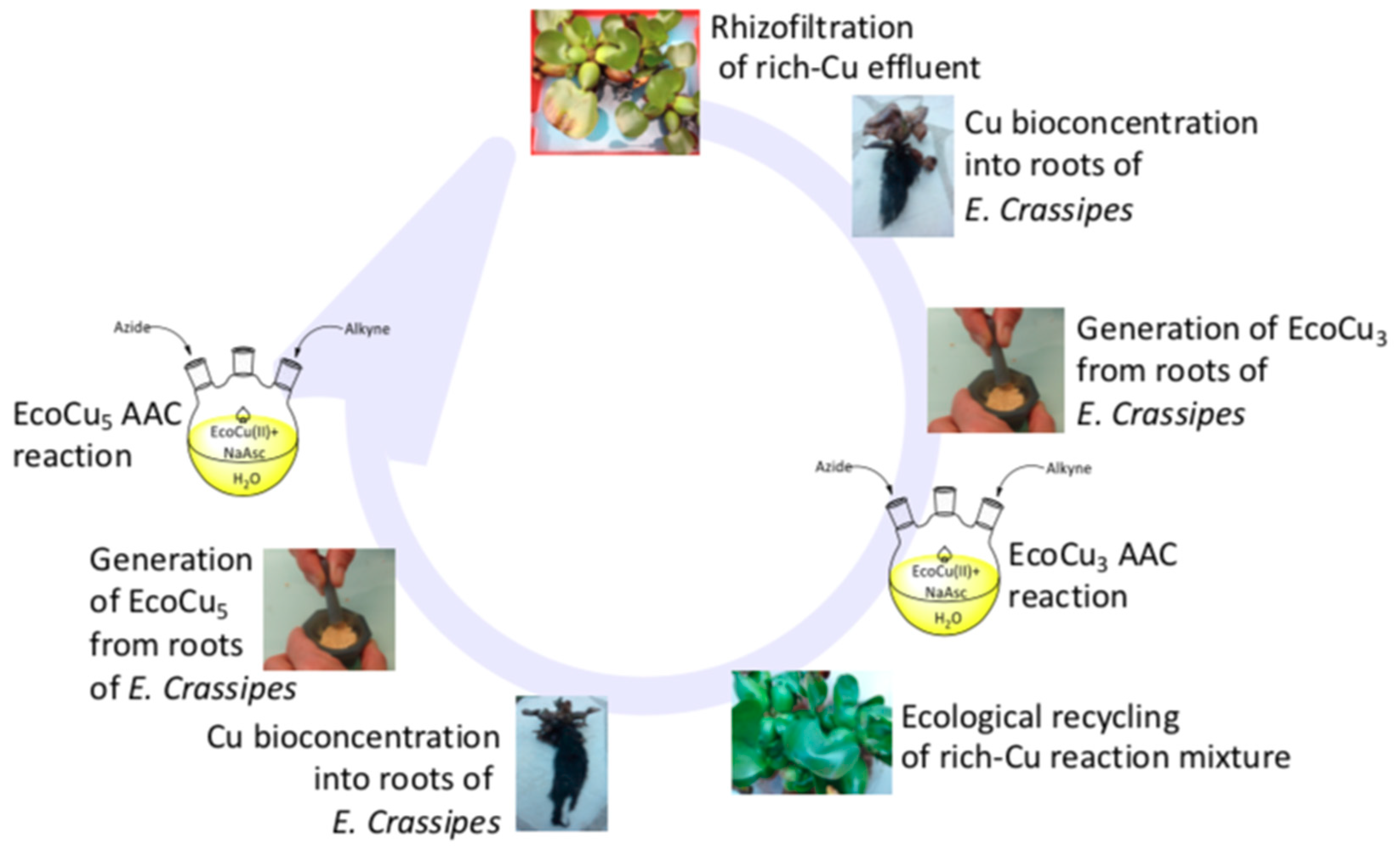 Catalysts 09 00214 g003