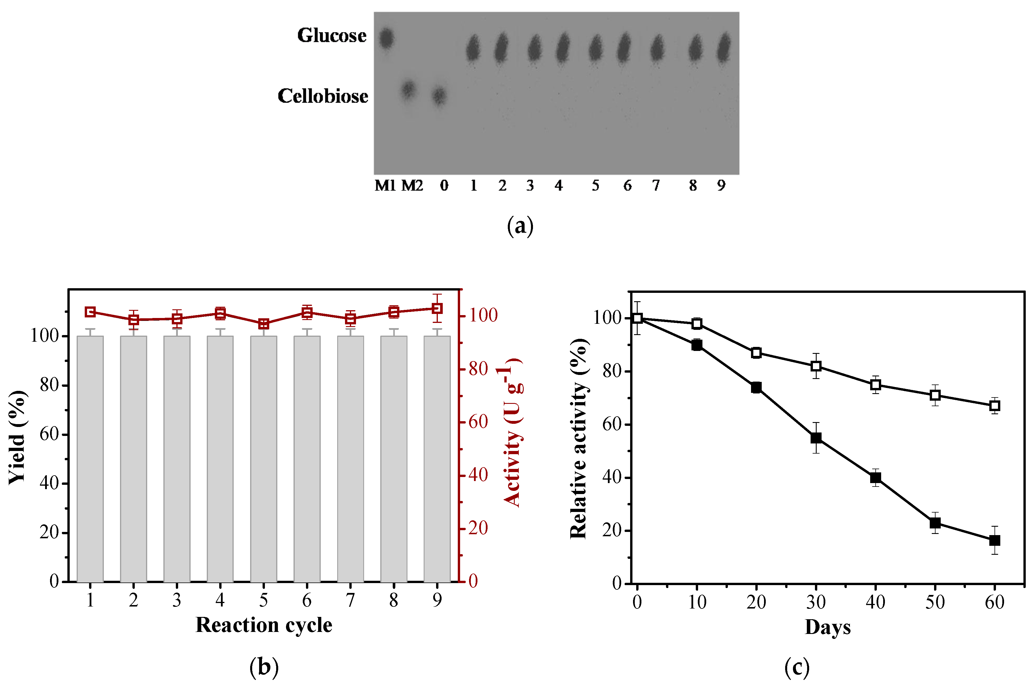 Catalysts 09 00223 g002
