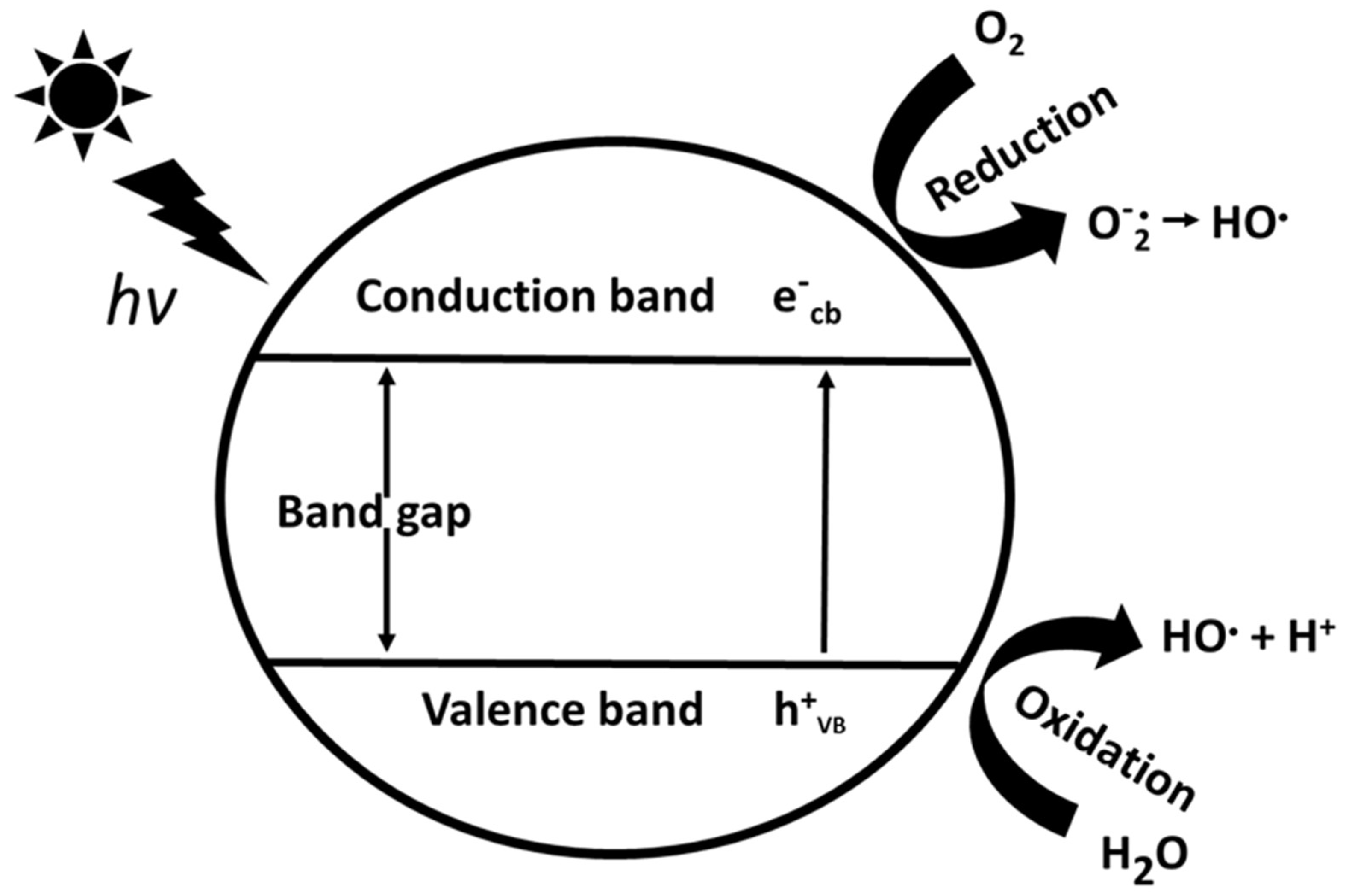 Catalysts 09 00230 g004