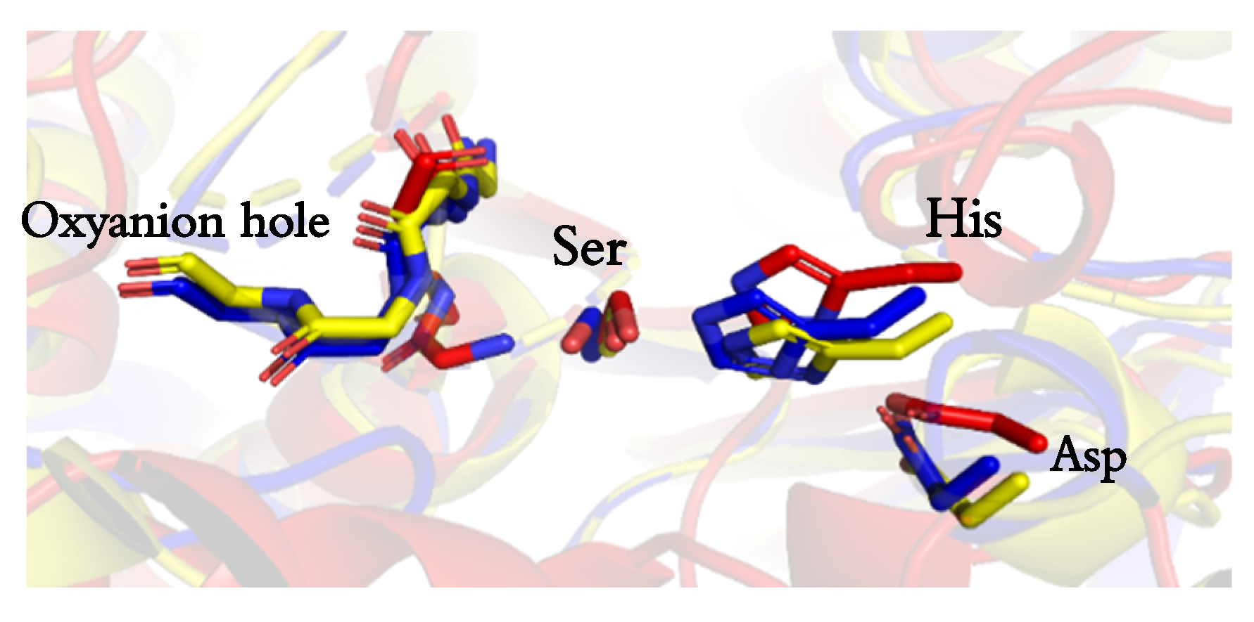 Catalysts 09 00232 g001