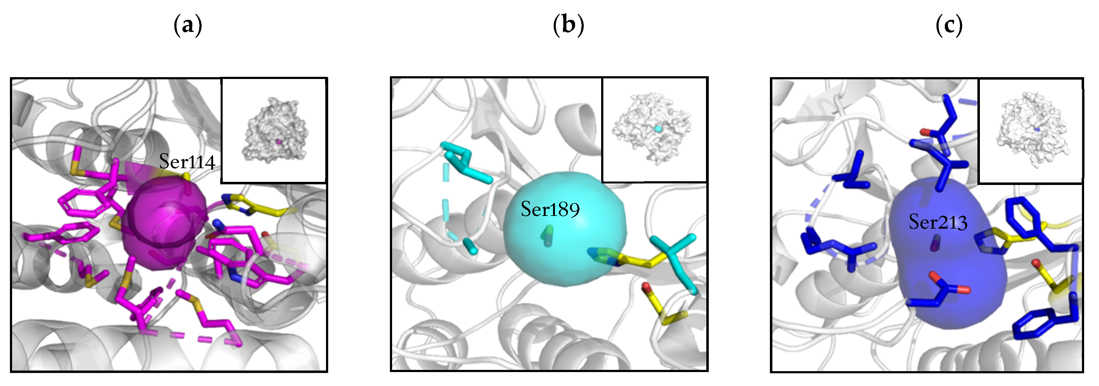 Catalysts 09 00232 g002