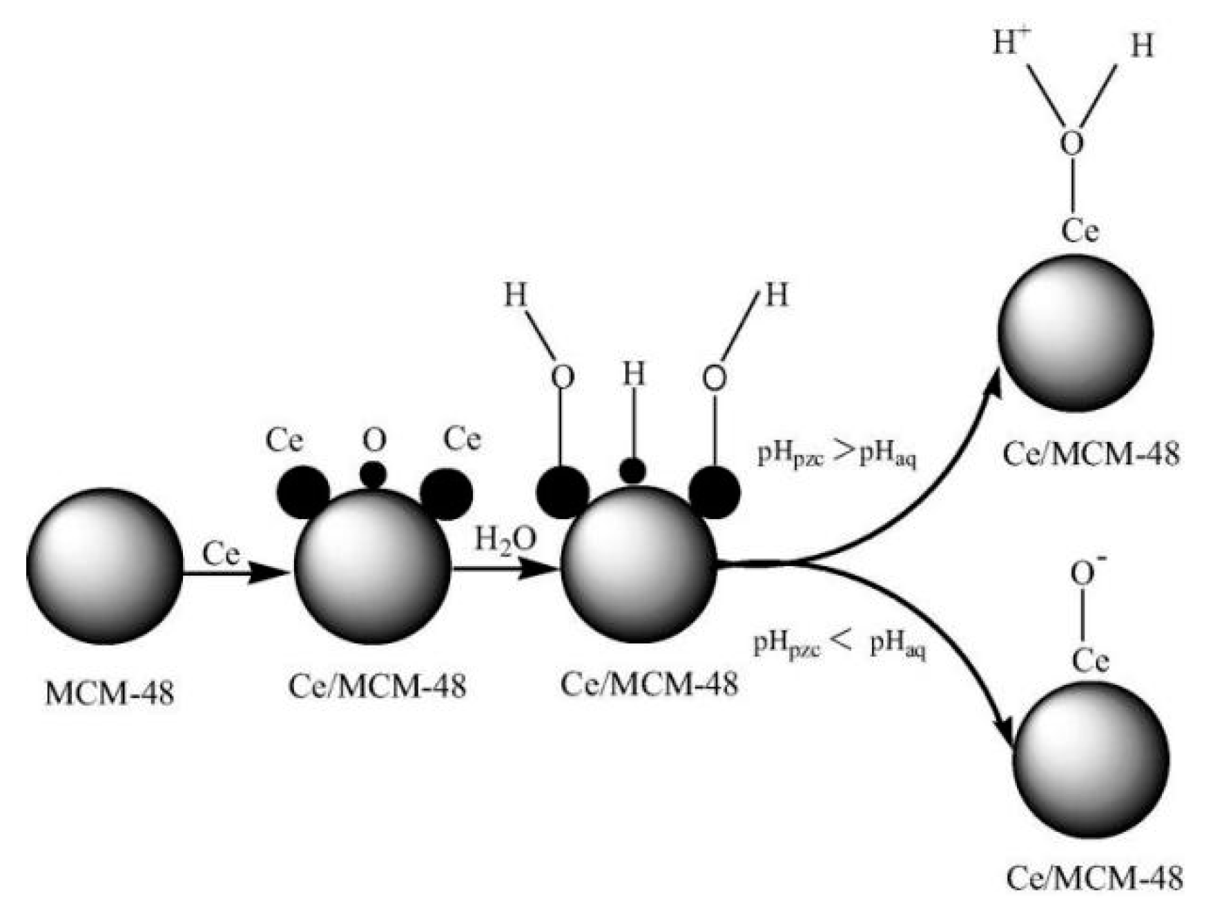Catalysts 09 00241 g012