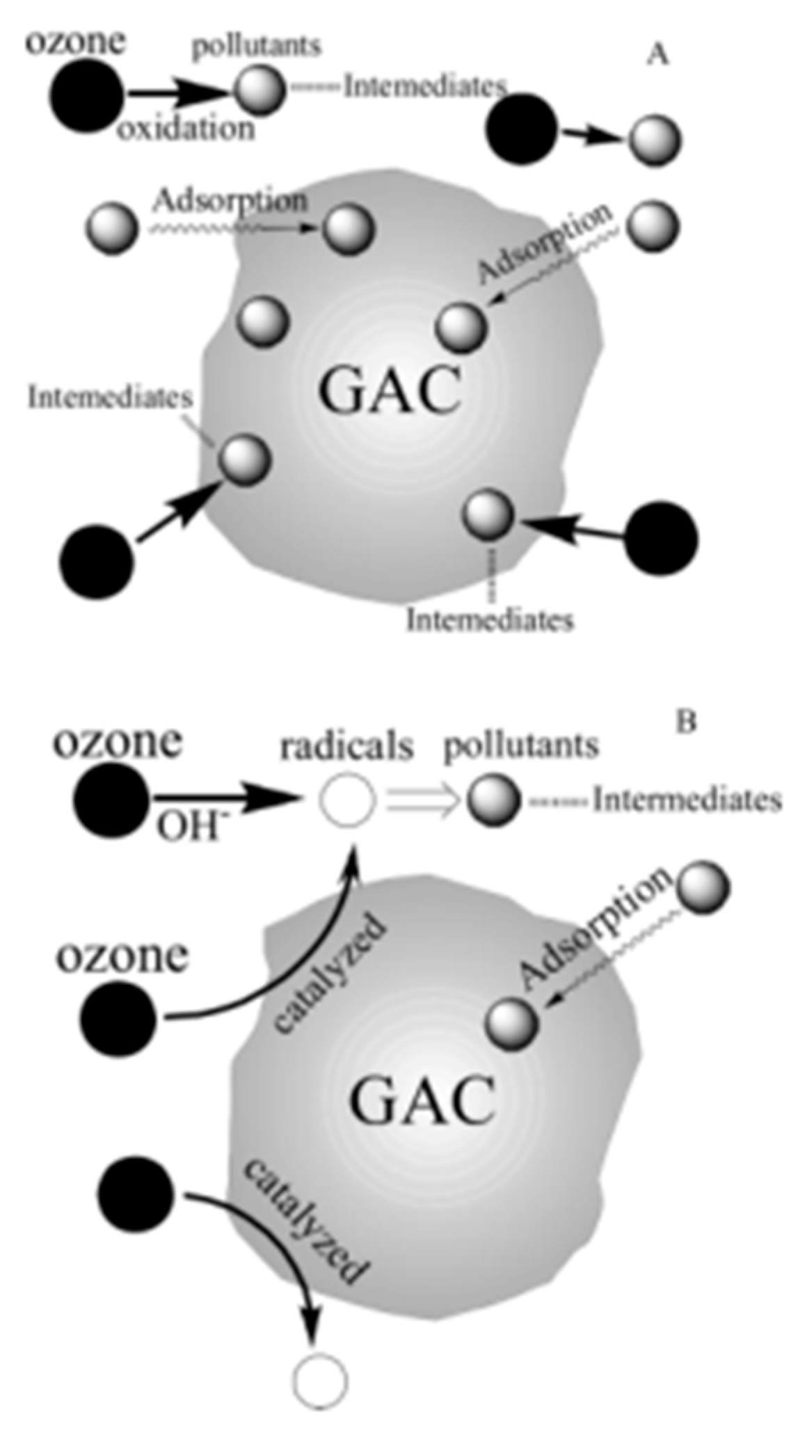 Catalysts 09 00241 g013
