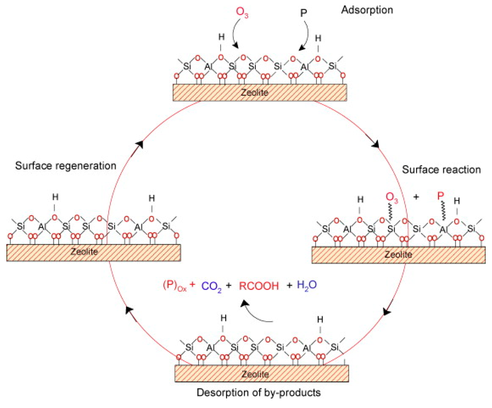 Catalysts 09 00241 g014