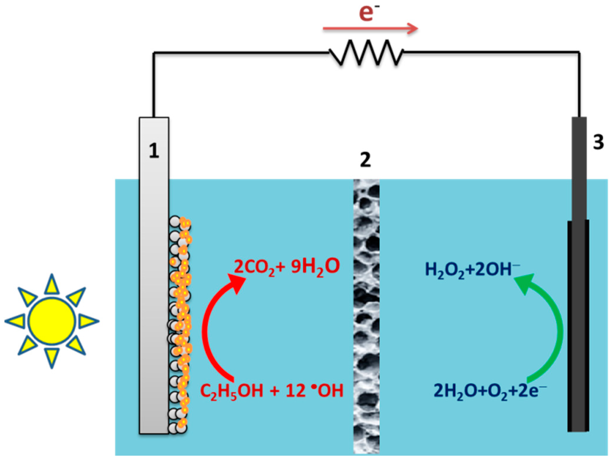 Catalysts 09 00243 g001