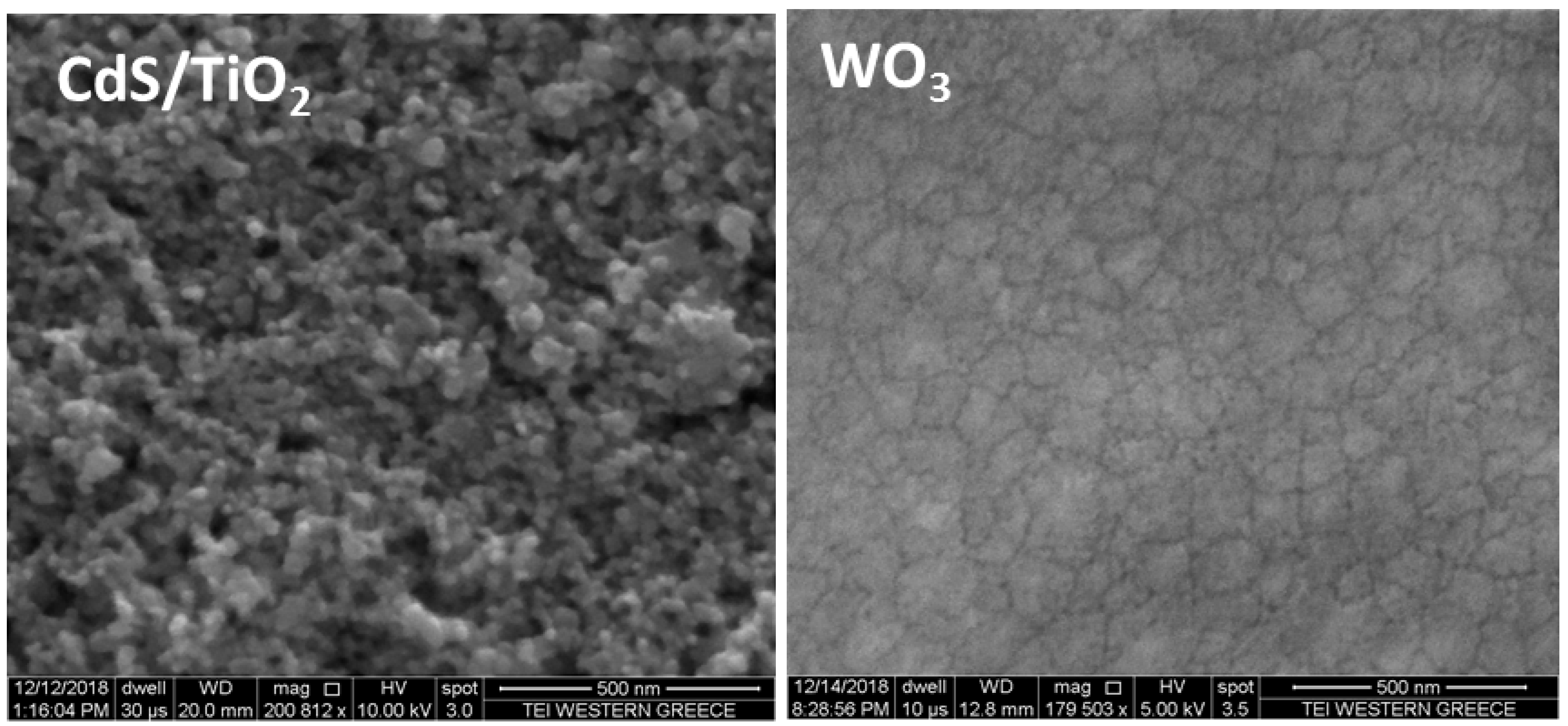 Catalysts 09 00243 g004