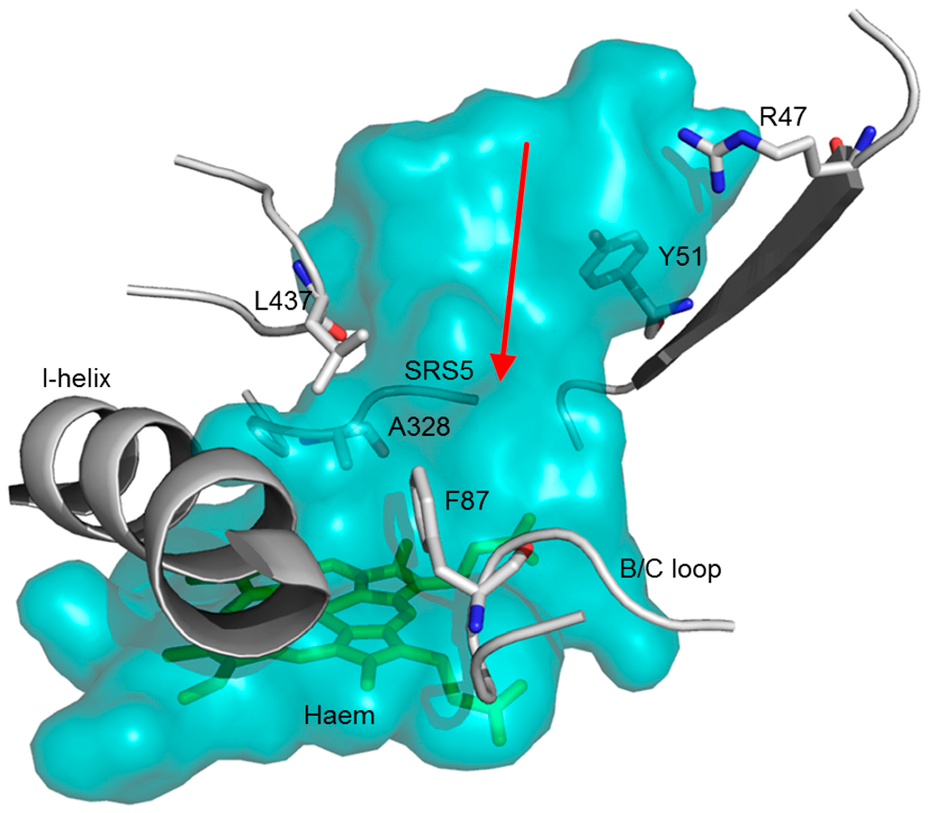 Catalysts 09 00252 g002 Catalysts 09 00252 g002