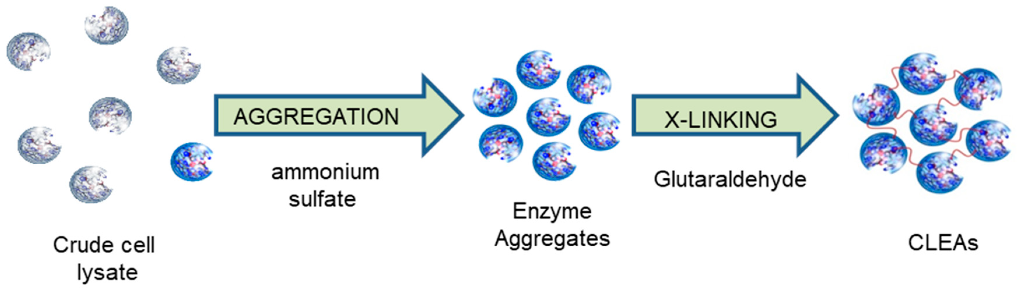 Catalysts 09 00261 g001 Catalysts 09 00261 g001