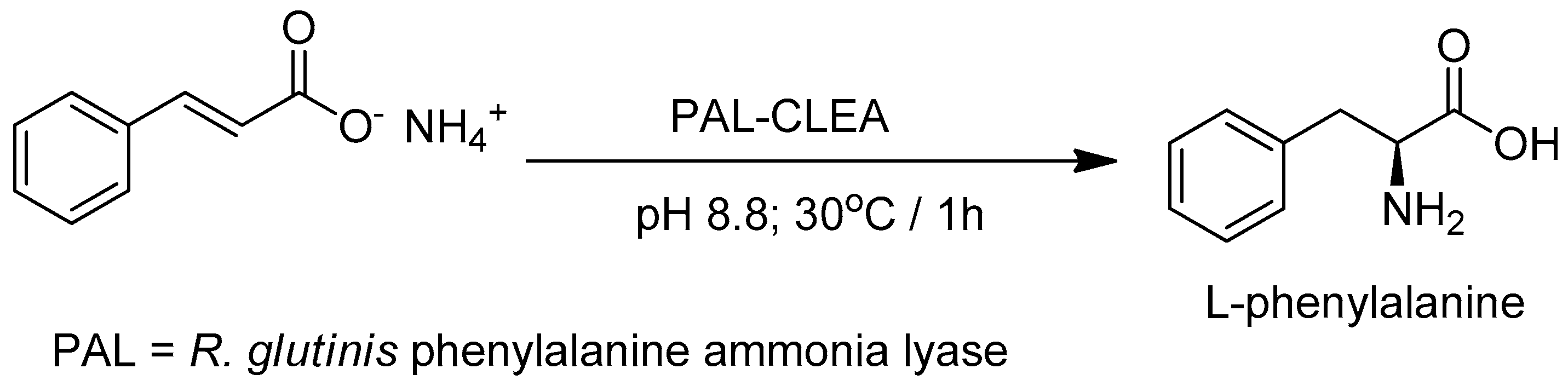 Catalysts 09 00261 g006 Catalysts 09 00261 g006