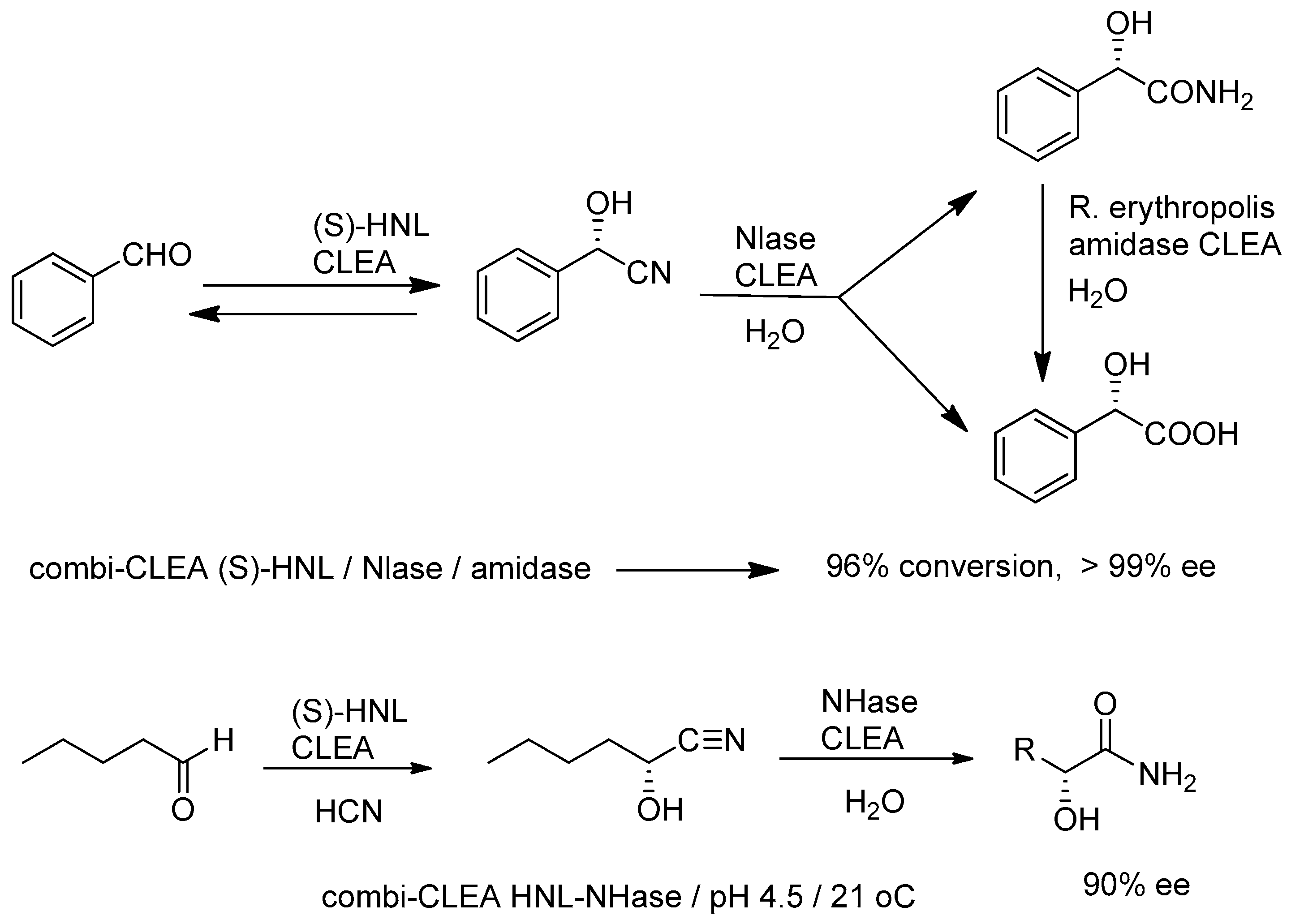 Catalysts 09 00261 g008 Catalysts 09 00261 g008