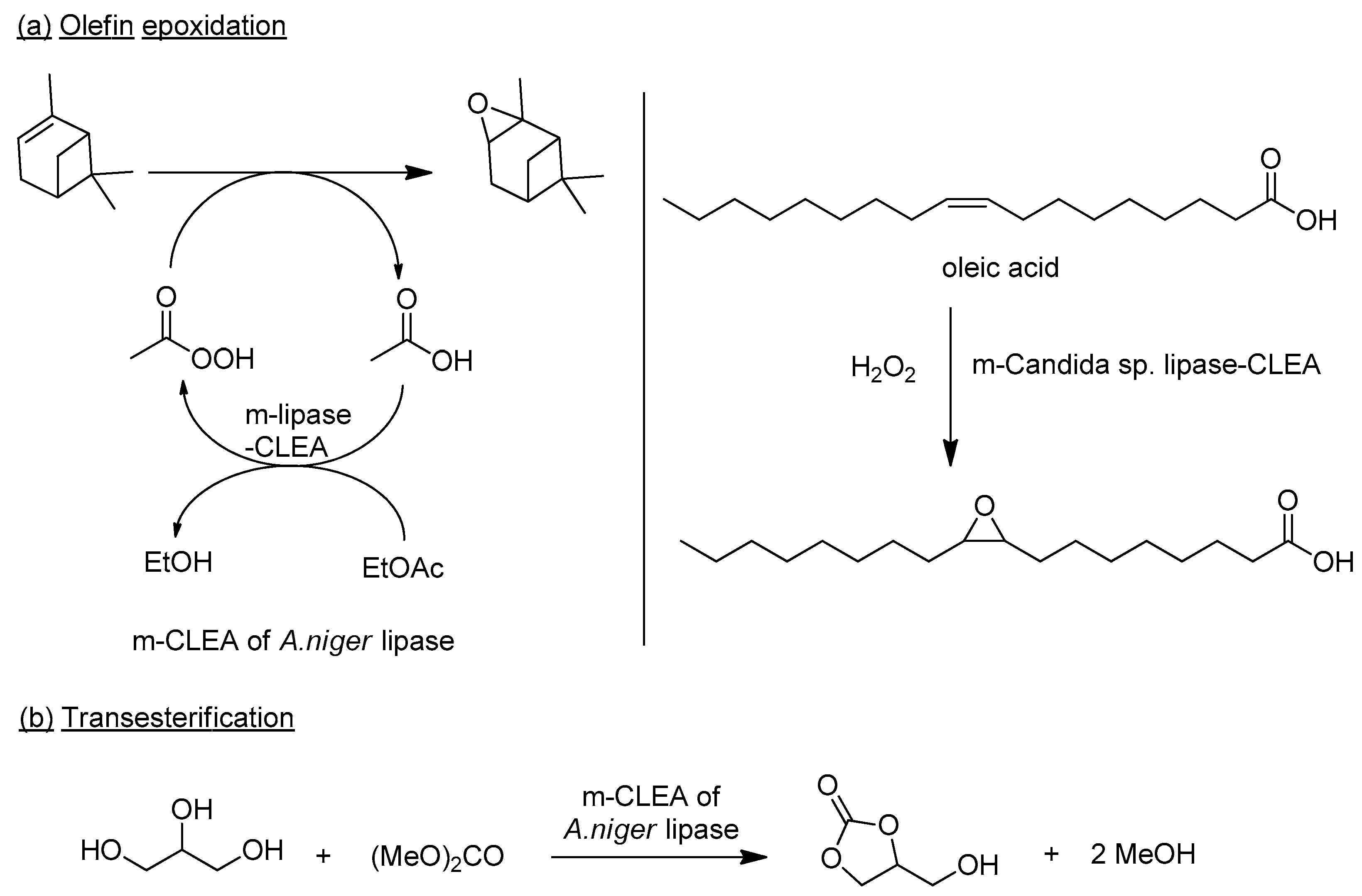 Catalysts 09 00261 g013 Catalysts 09 00261 g013