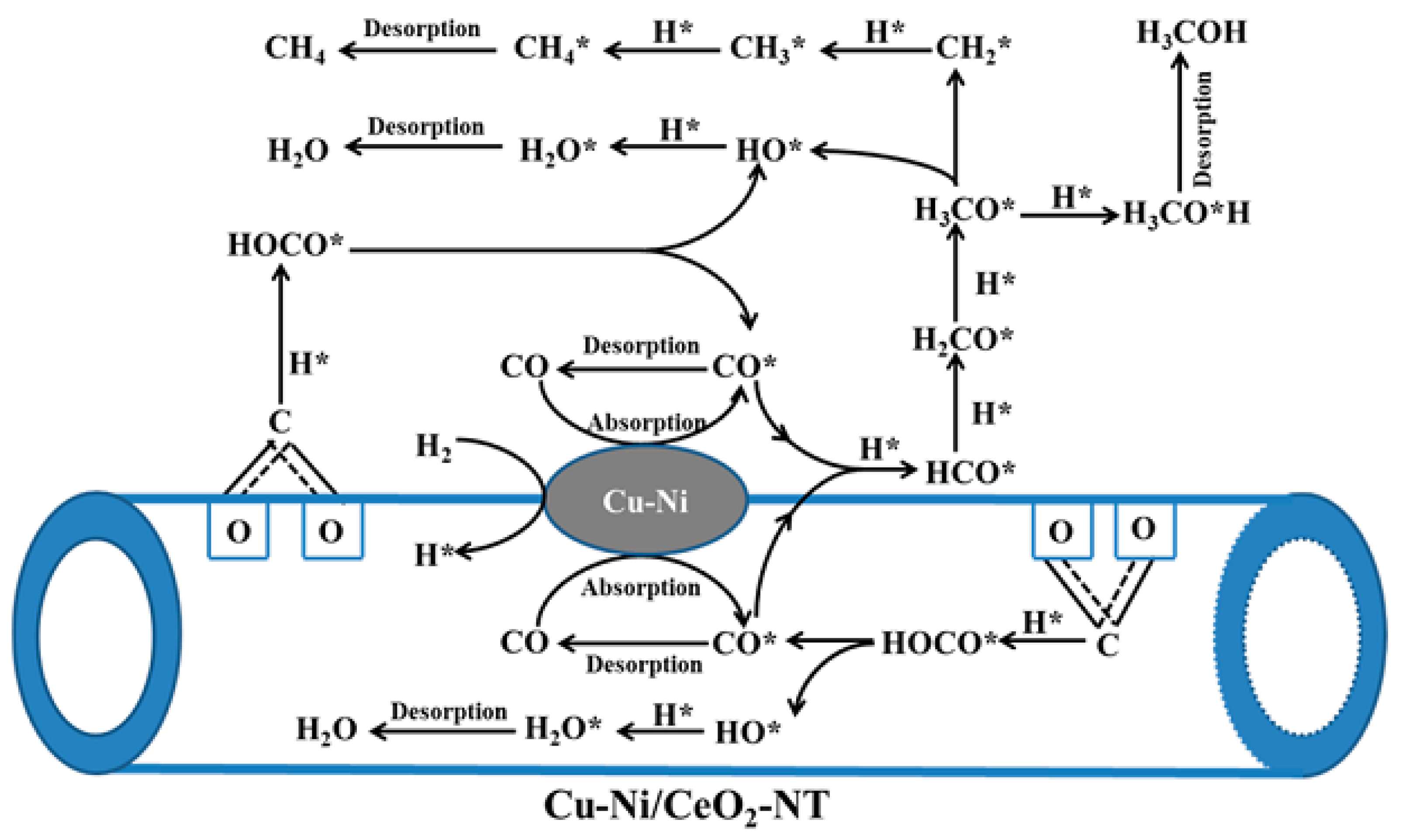 Catalysts 09 00275 g012