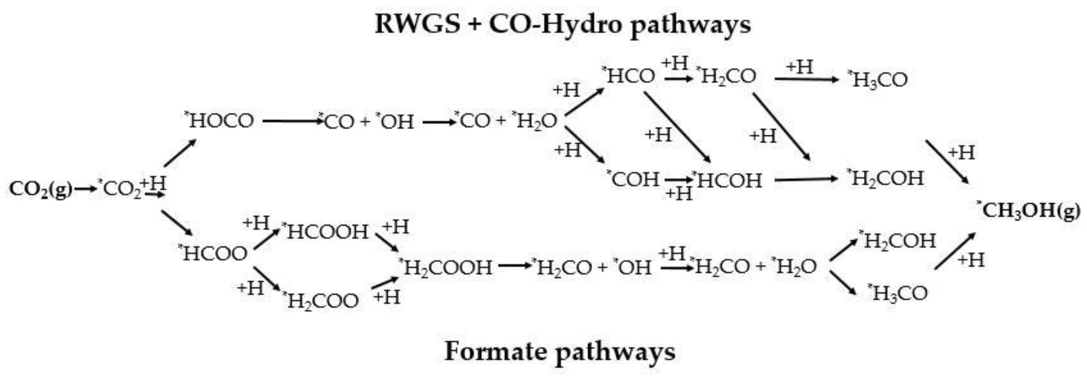 Catalysts 09 00275 sch003