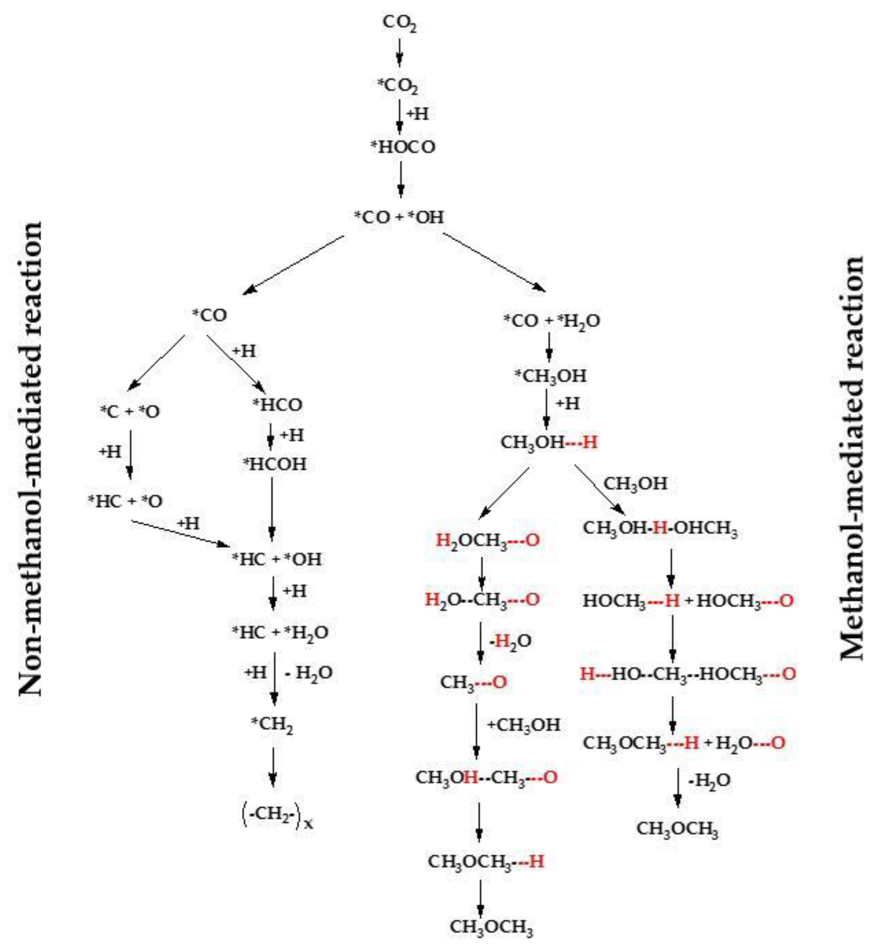 Catalysts 09 00275 sch004
