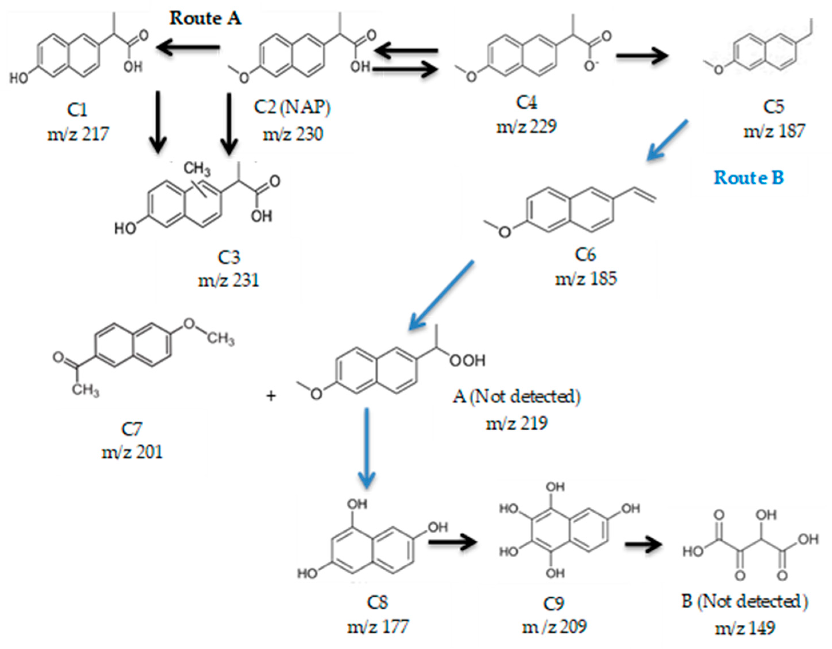 Catalysts 09 00287 g009