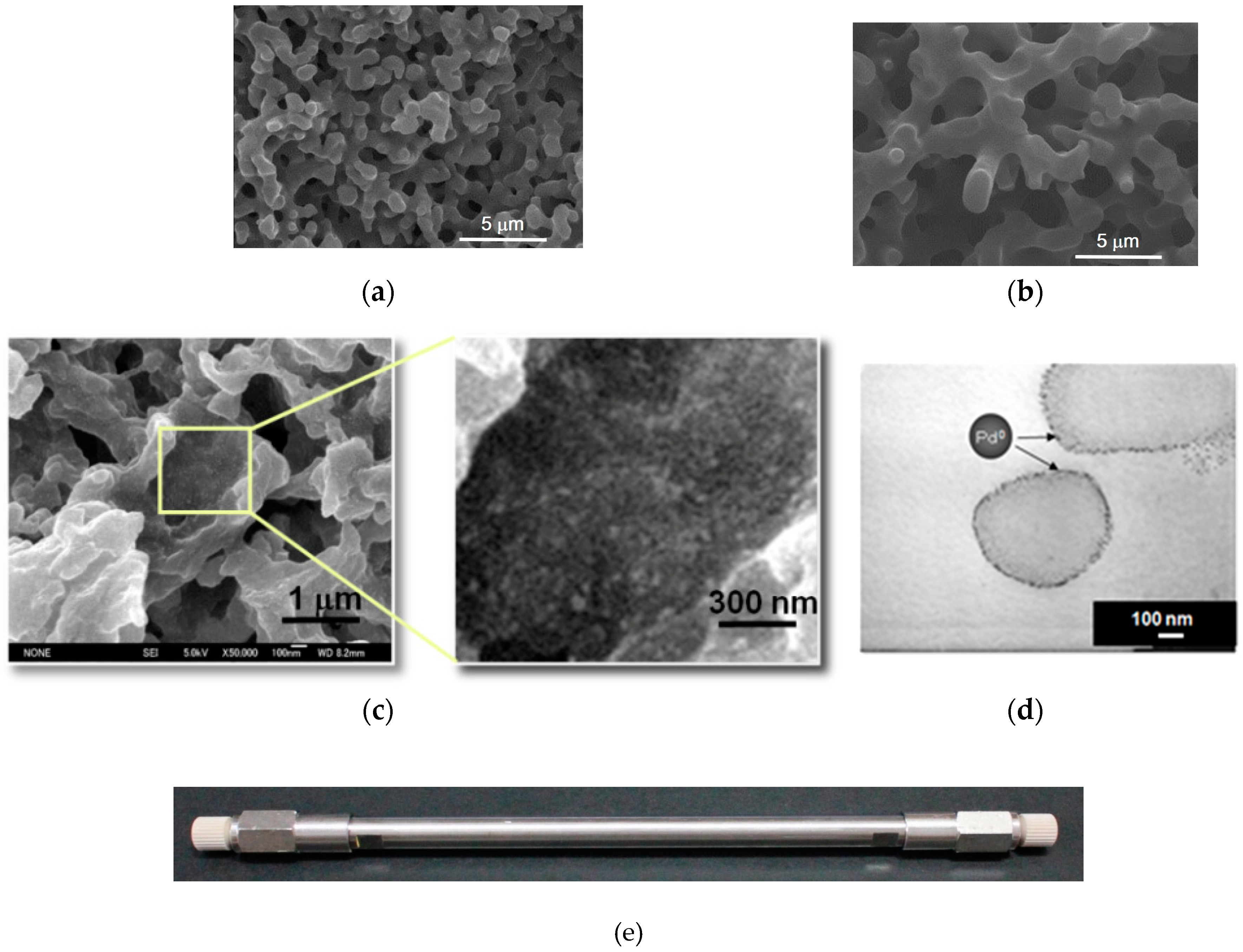 Catalysts 09 00300 g004