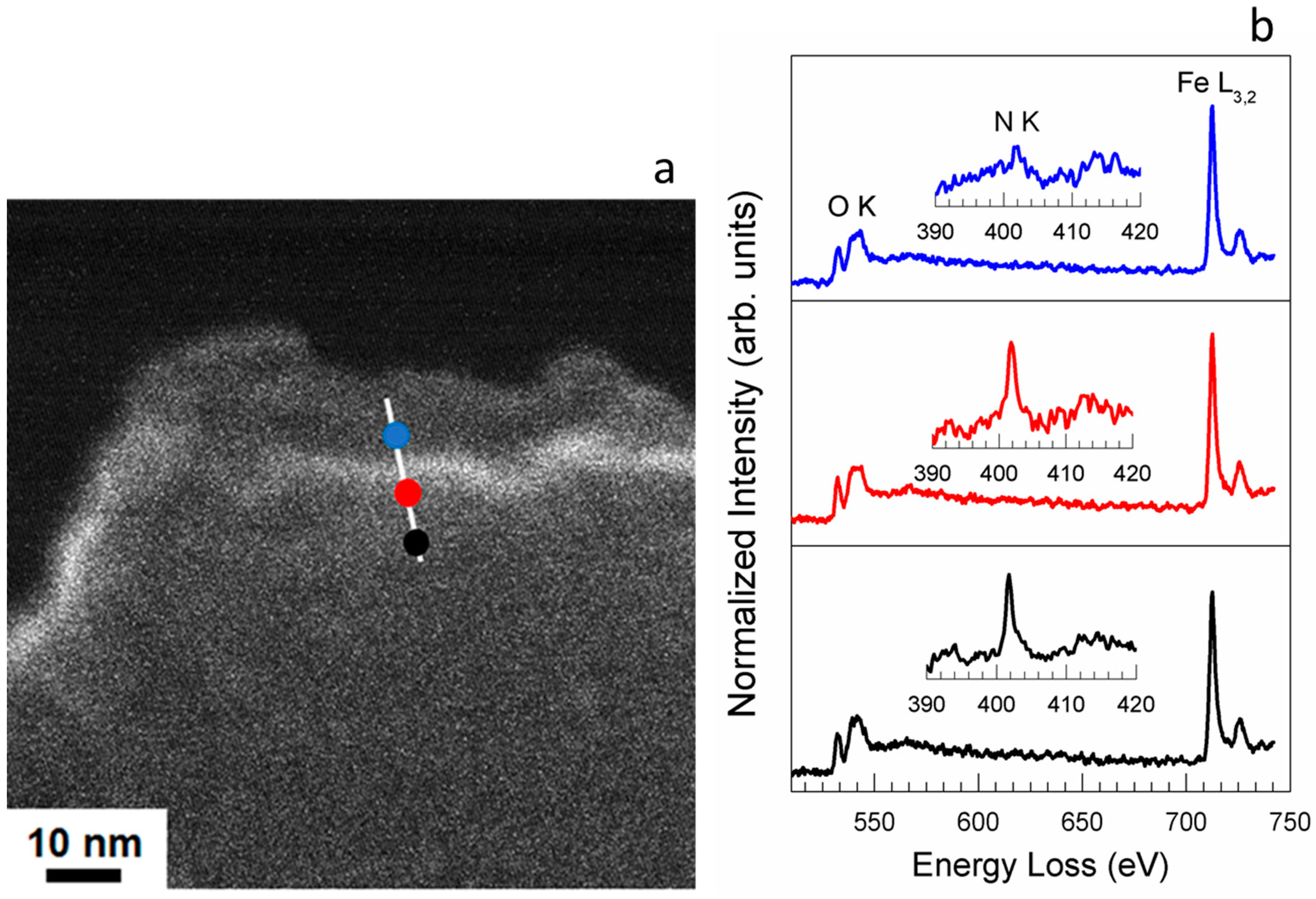 Catalysts 09 00303 g009