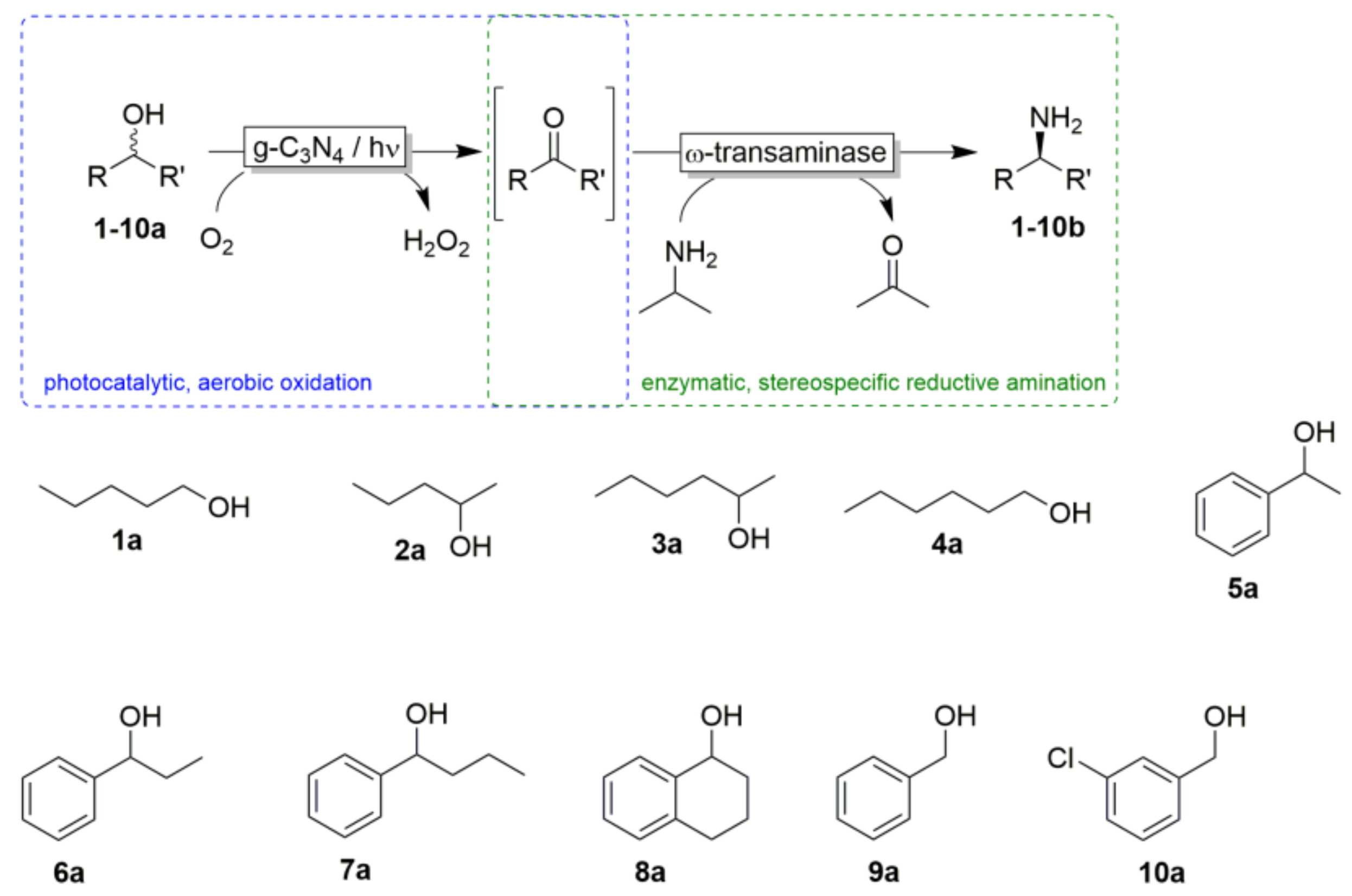 Catalysts 09 00305 sch001