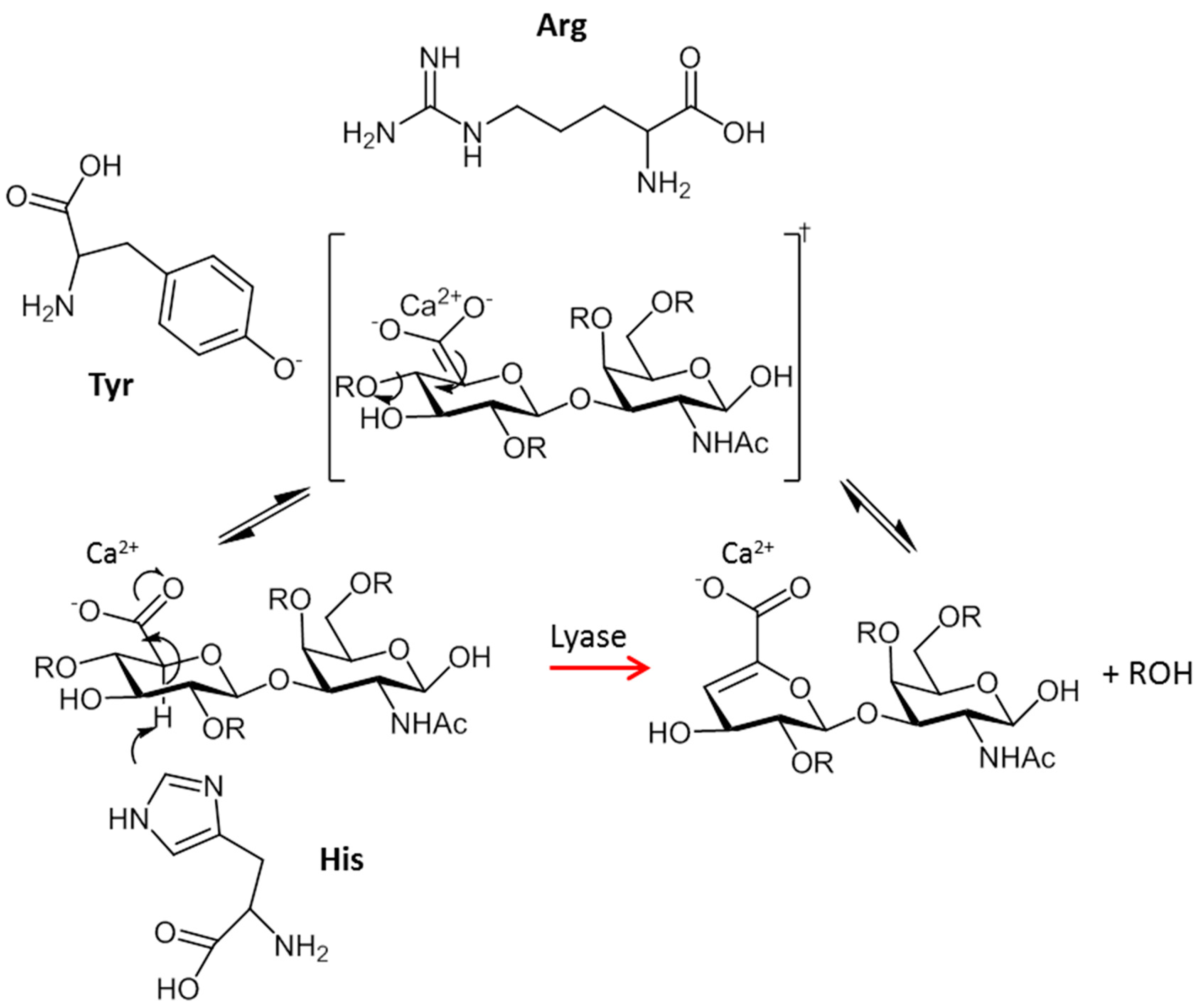 Catalysts 09 00322 g002 Catalysts 09 00322 g002