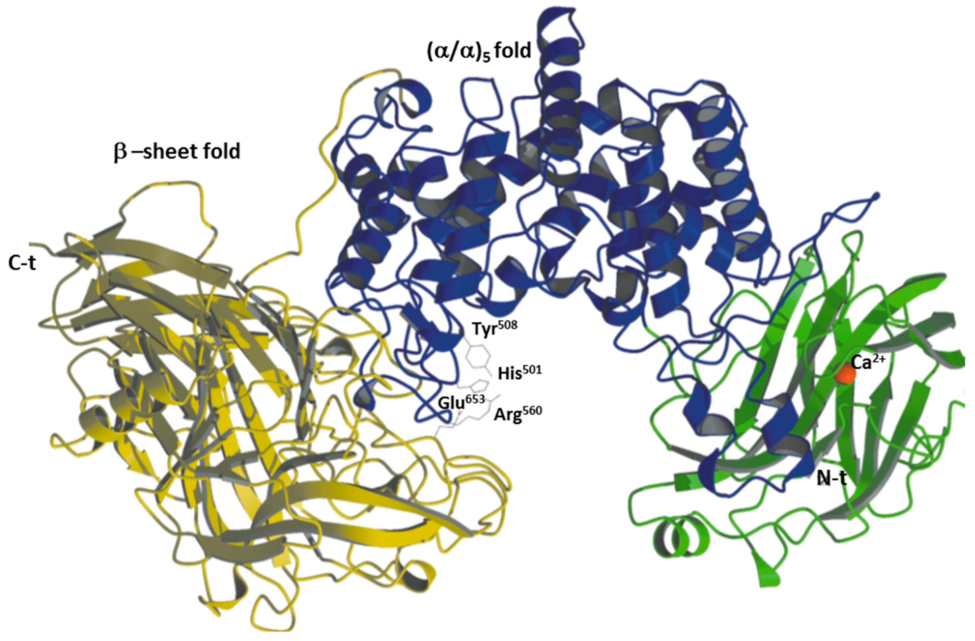 Catalysts 09 00322 g004 Catalysts 09 00322 g004