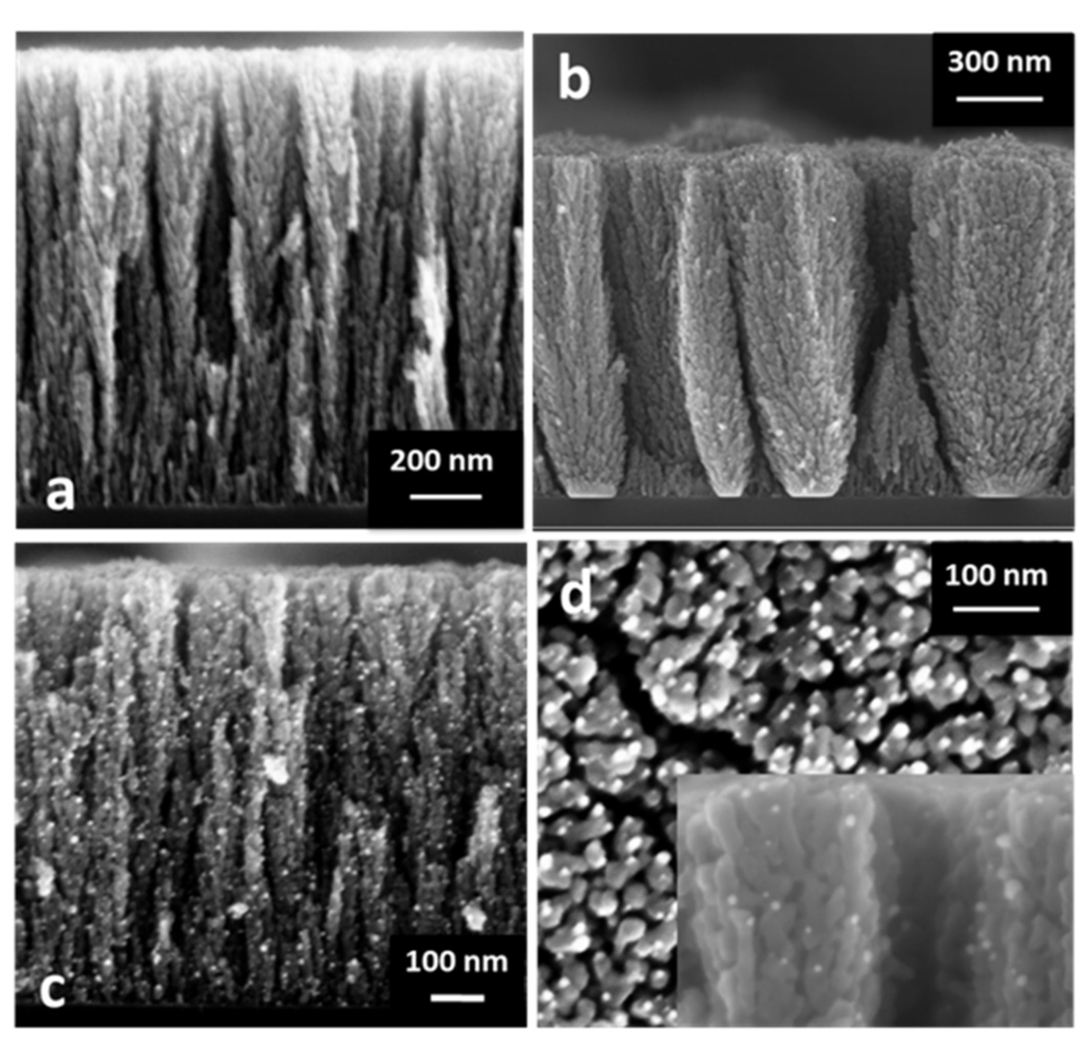 Catalysts 09 00340 g001 Catalysts 09 00340 g001