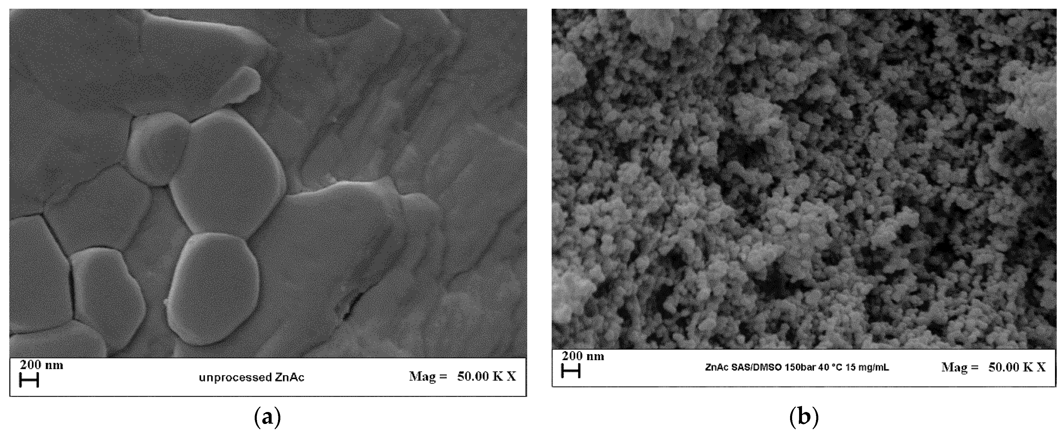 Catalysts 09 00346 g001