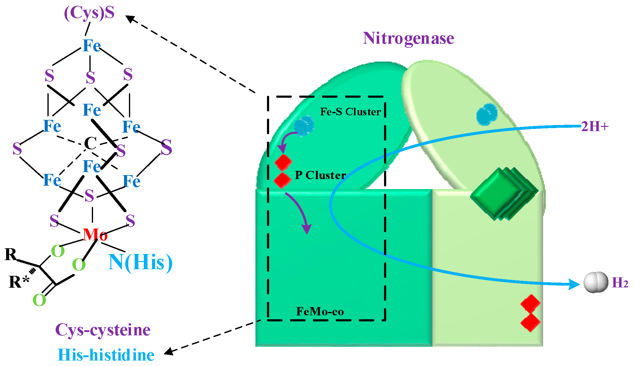 Catalysts 09 00353 g001