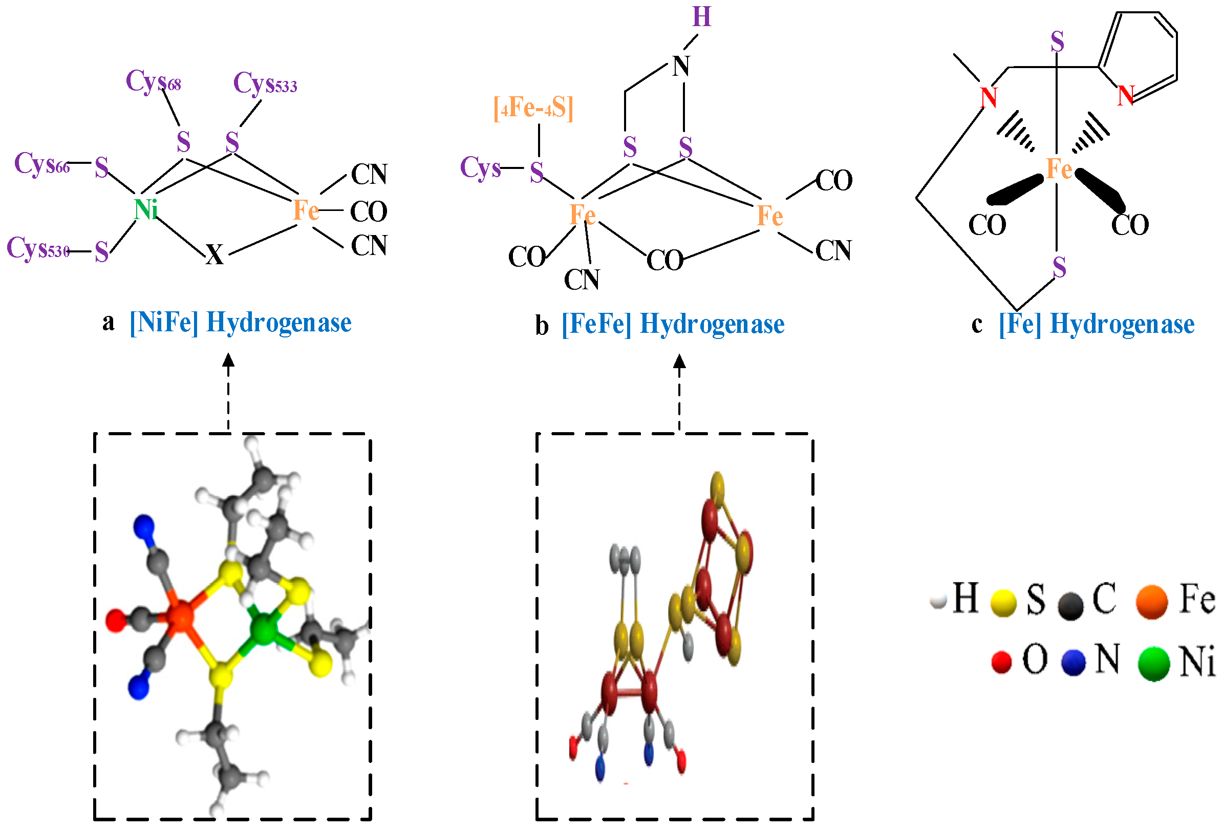 Catalysts 09 00353 g002