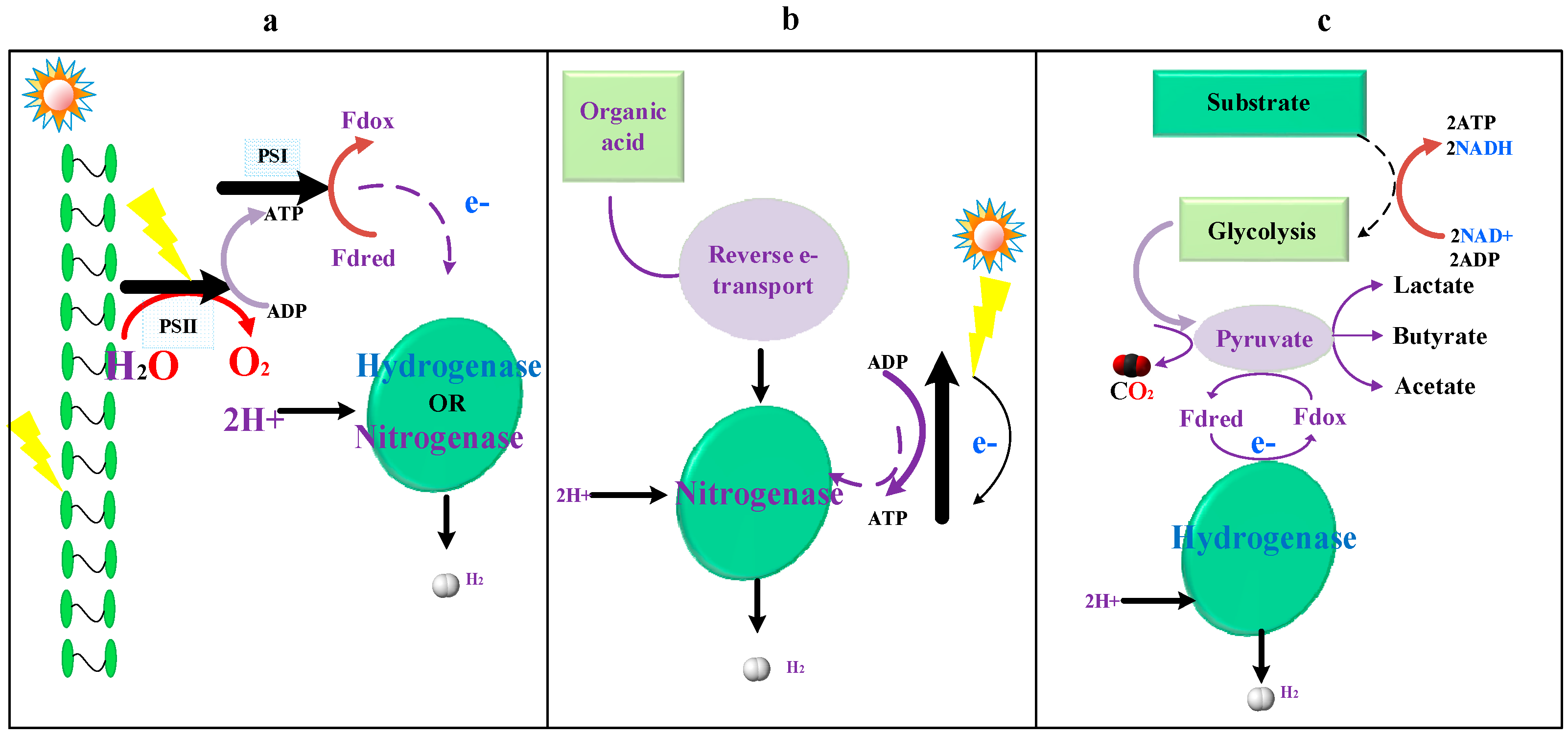 Catalysts 09 00353 g003