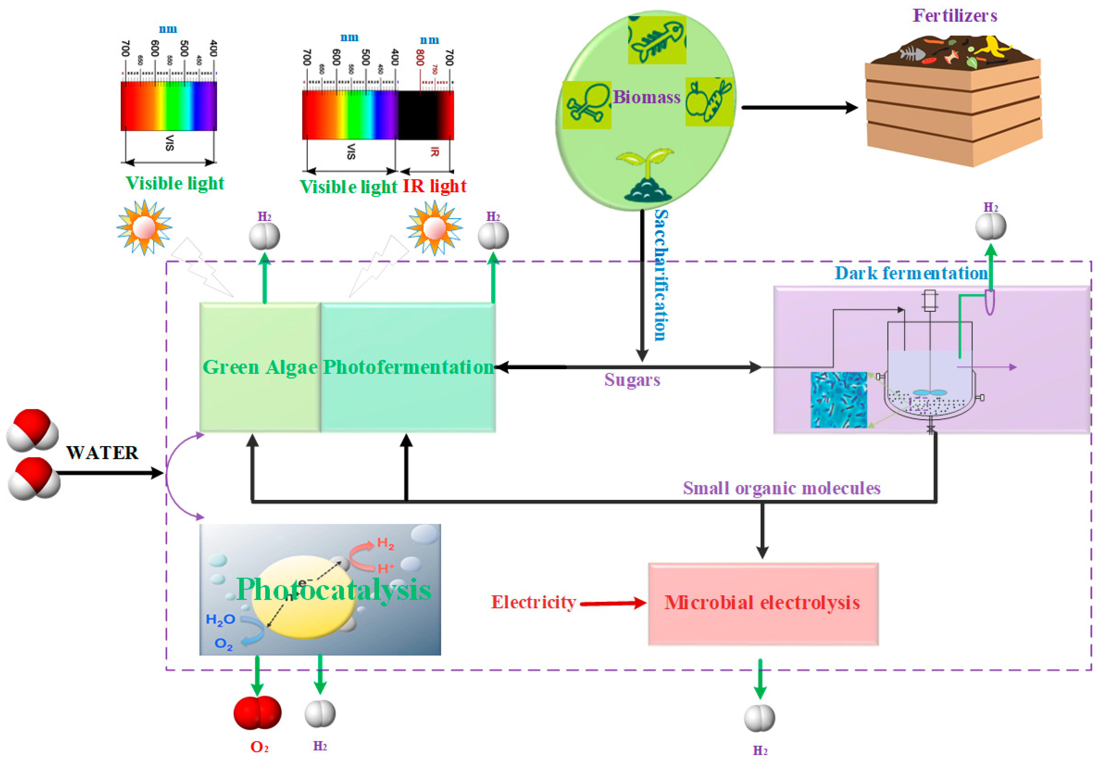 Catalysts 09 00353 g005