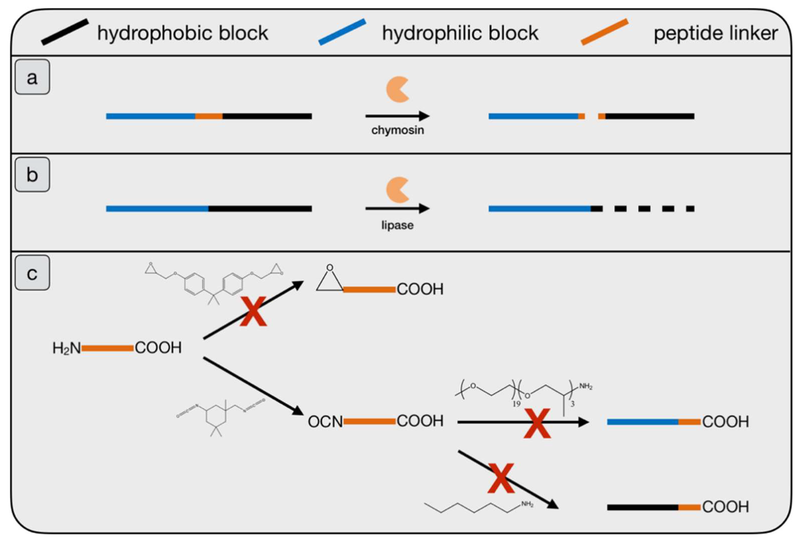 Catalysts 09 00354 g002